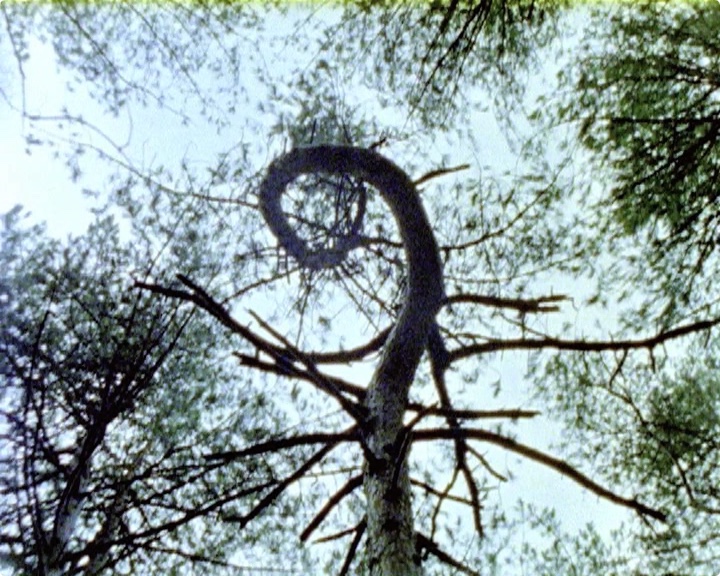 {Verdure}, 2022