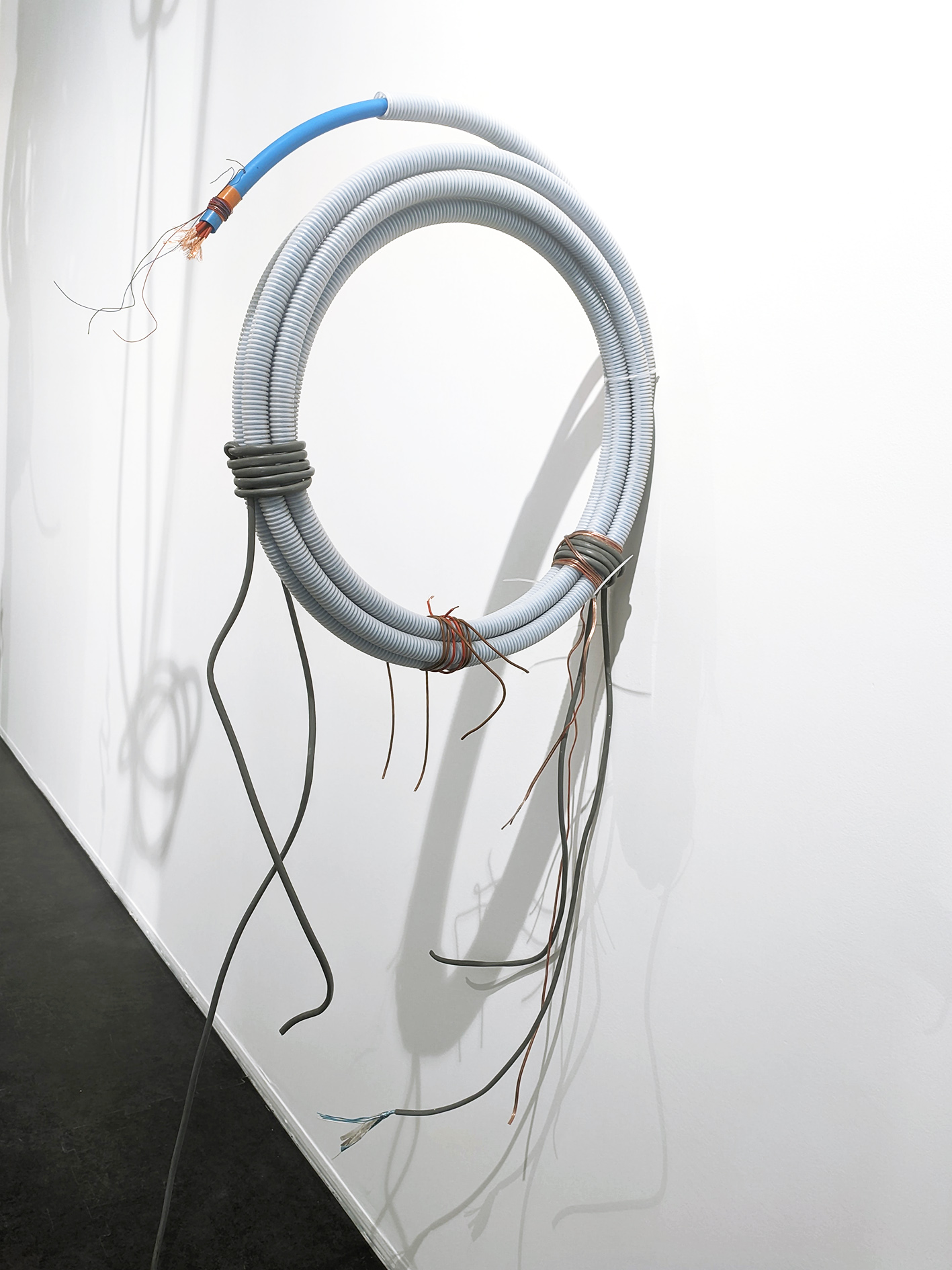 {Faisceau (blanc)}, 2025