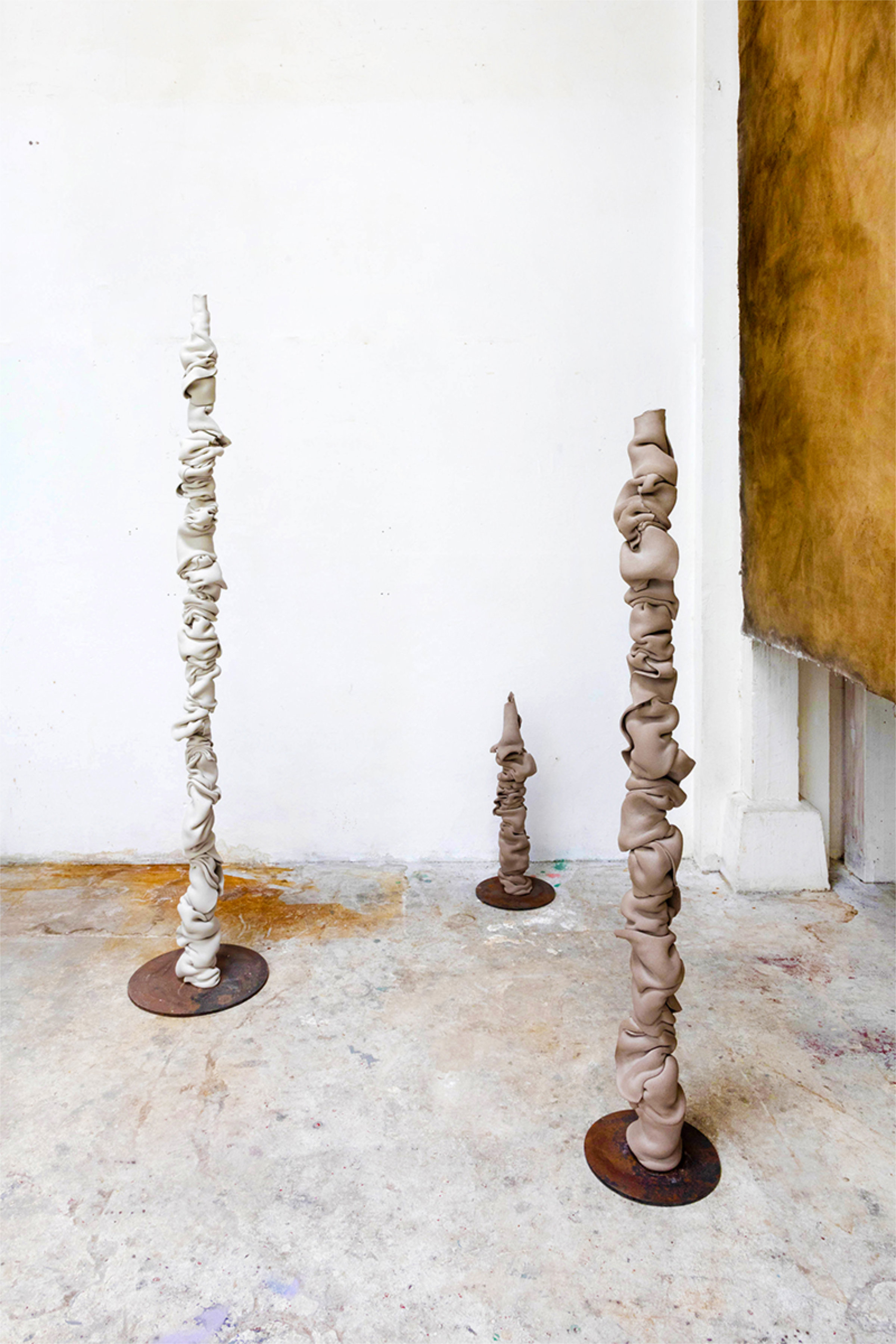 {Disparition progressive}, 2019