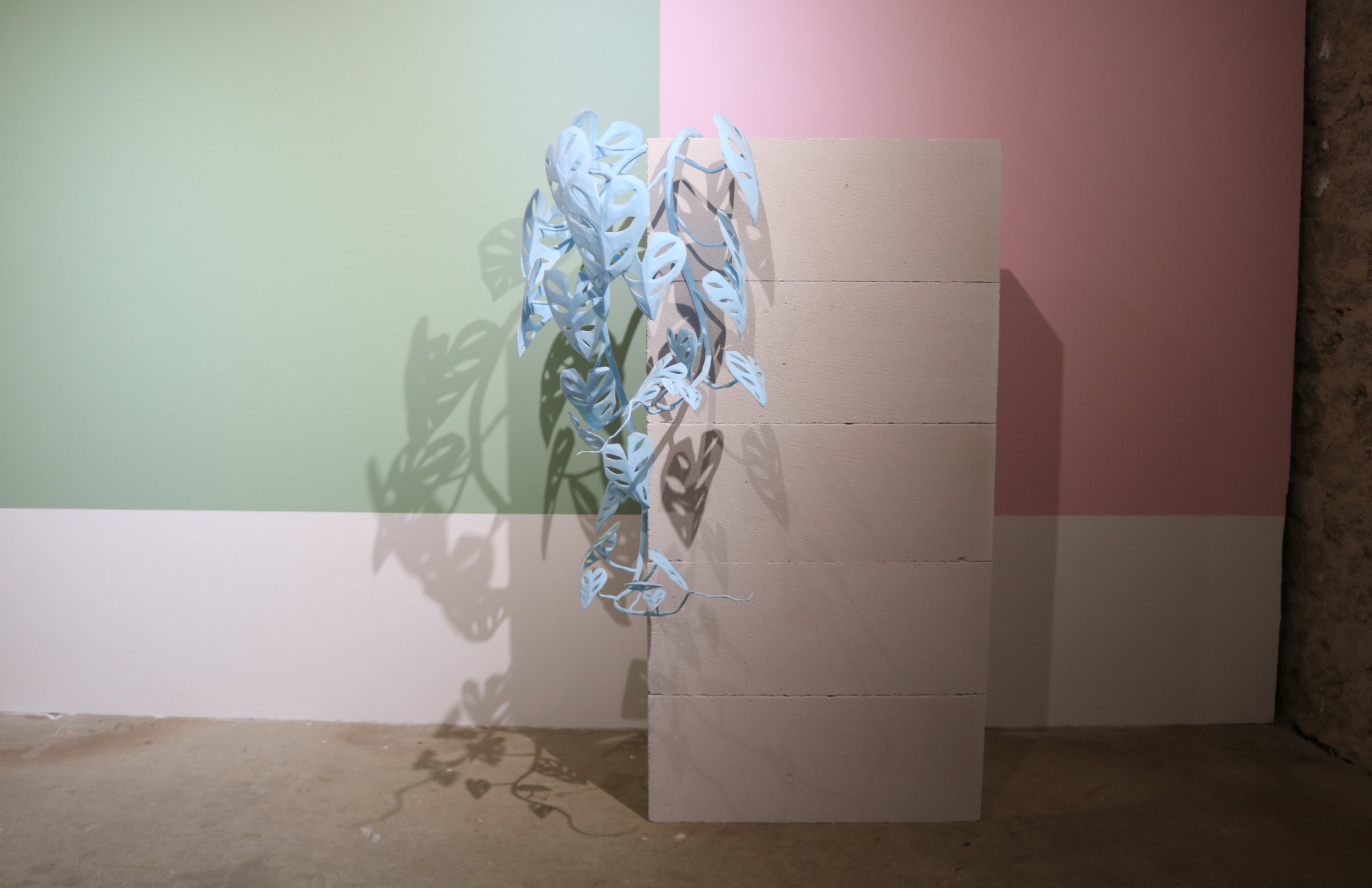 {Monstera}, 2020