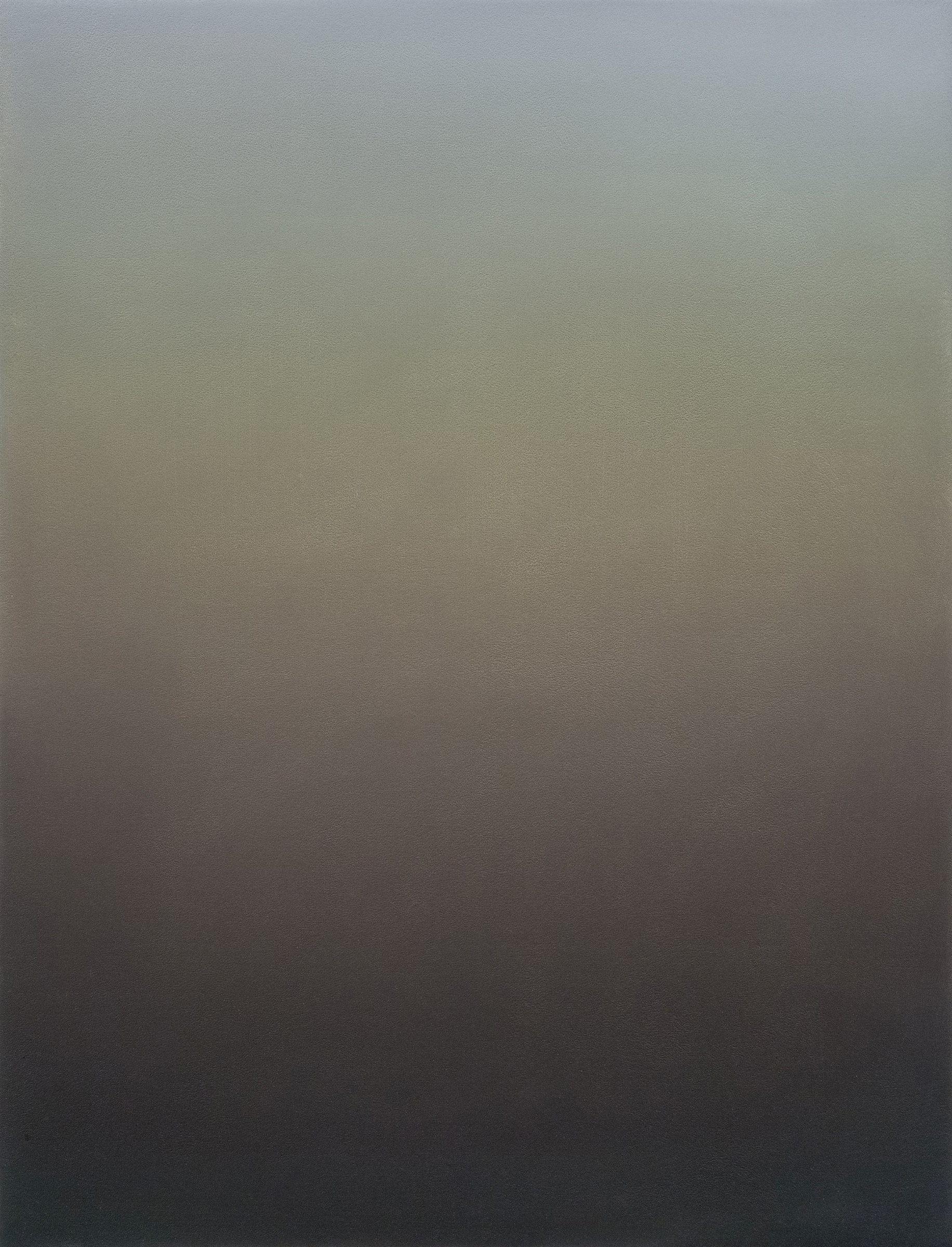 {Diffuse gris-versicolore}, 2016