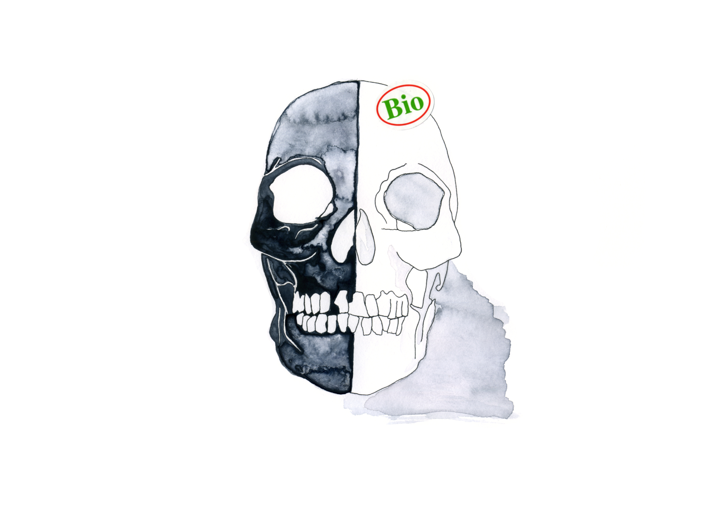 {Skull Bio,} 2018