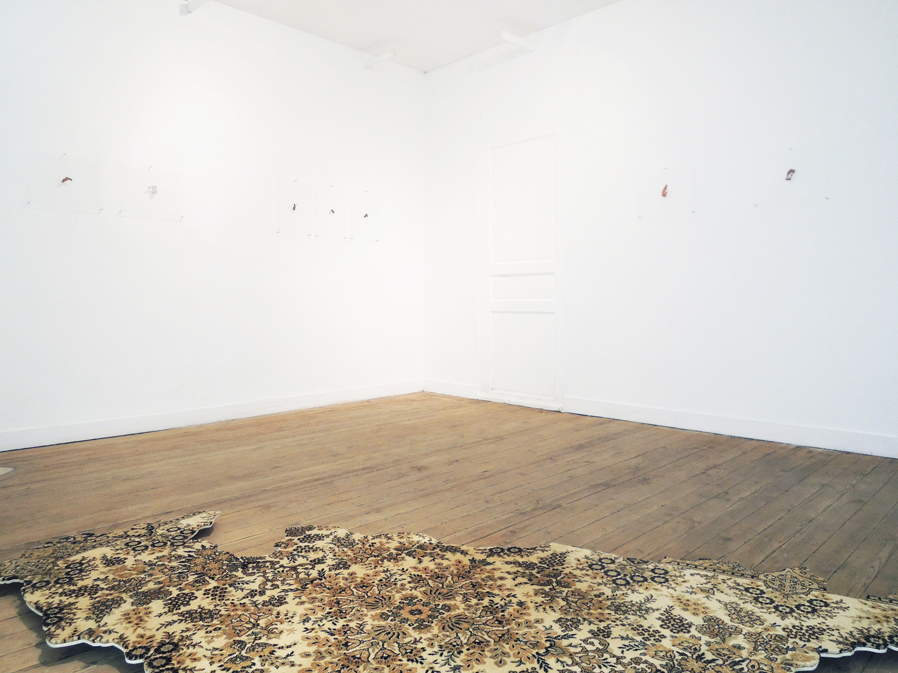 Îles, 2016 (au mur), série de huit impressions sur verre, 30 x 40 cm (chacune) et (au sol), Île, 2016, tapis découpé, bois, 220 x 120 x 10 cm Vue de l'exposition Taches, Escalier B, Bordeaux
