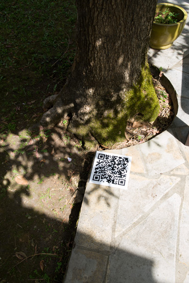 anthracite scandent une fin de mur quatre parpaings