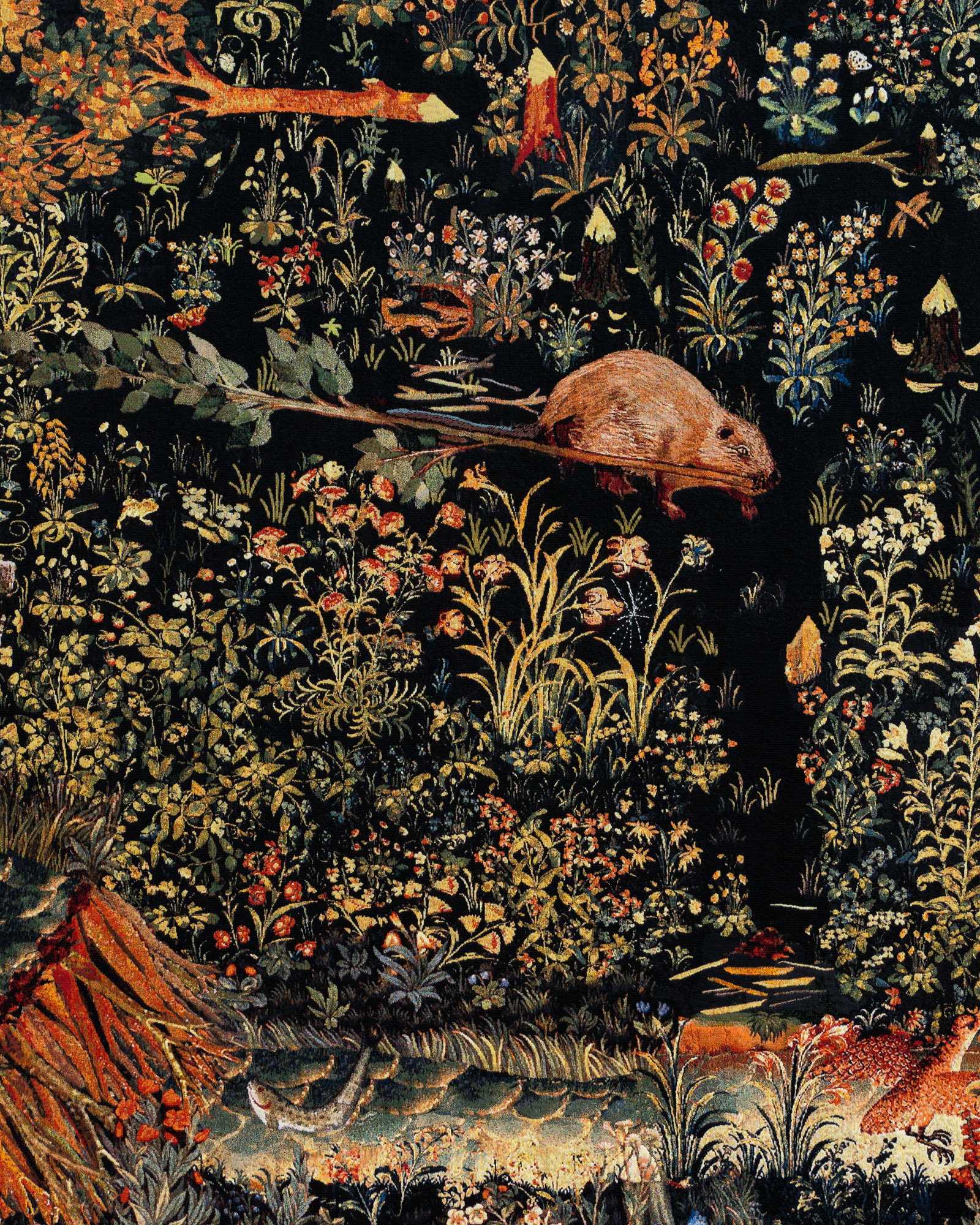 Détail