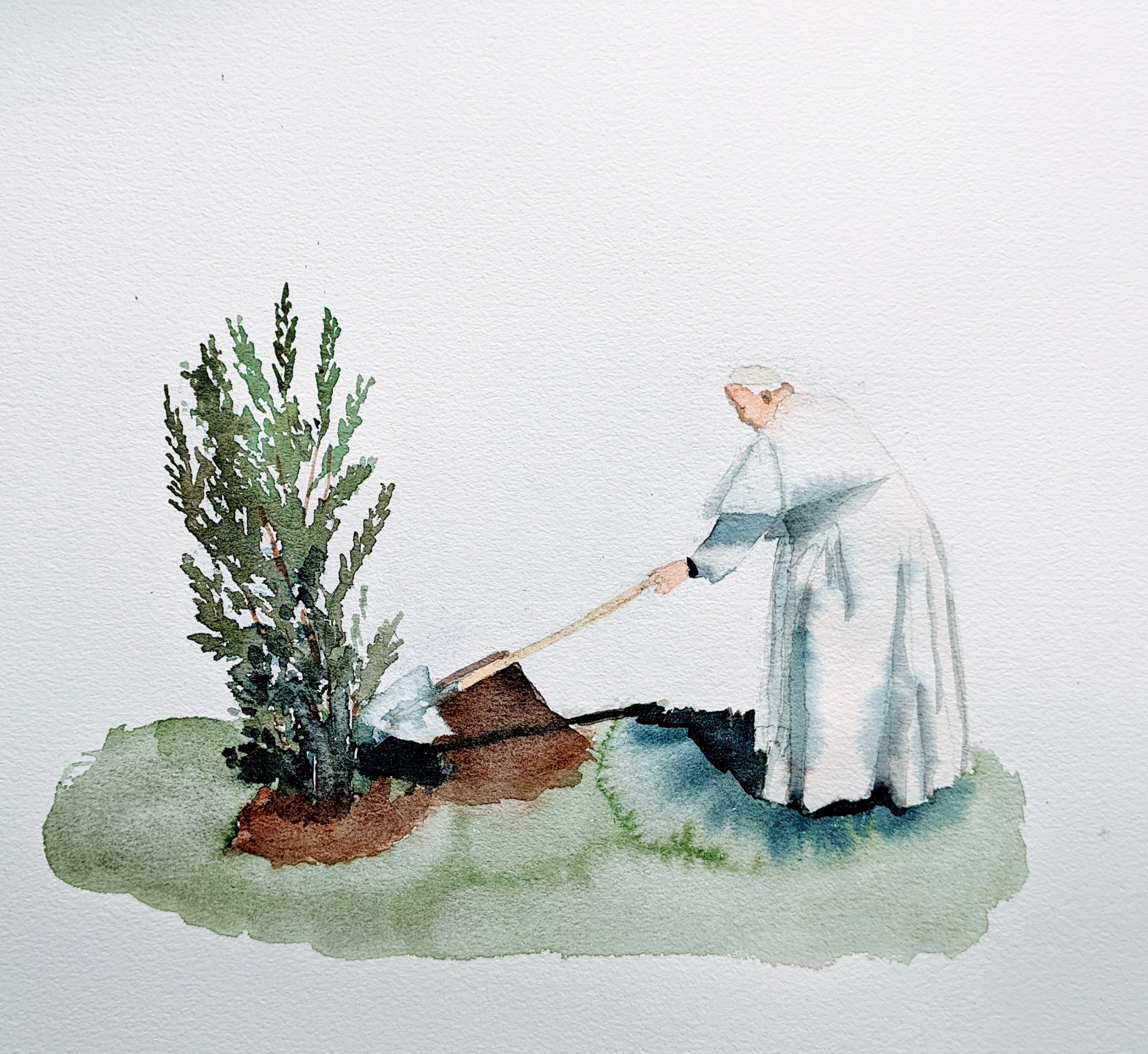{Le pape François - Chêne vert - 2019}