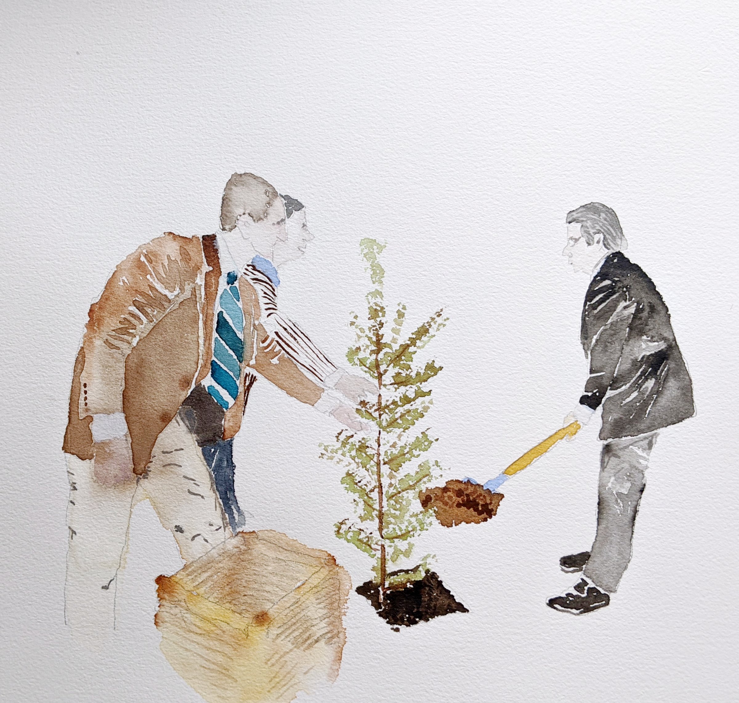 {Nicolas Sarkozy. Pin douglas - Bois industriel Tra-le-Bos - Egletons - 2011}