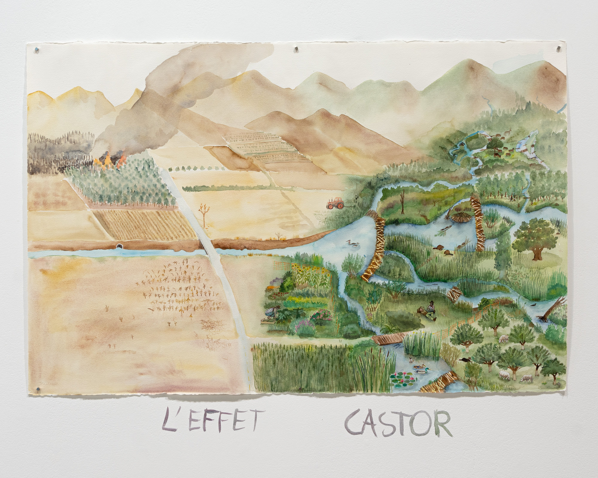 Vue de l'exposition Castor, l'amant de la rivière, Artothèque de Caen, 2024