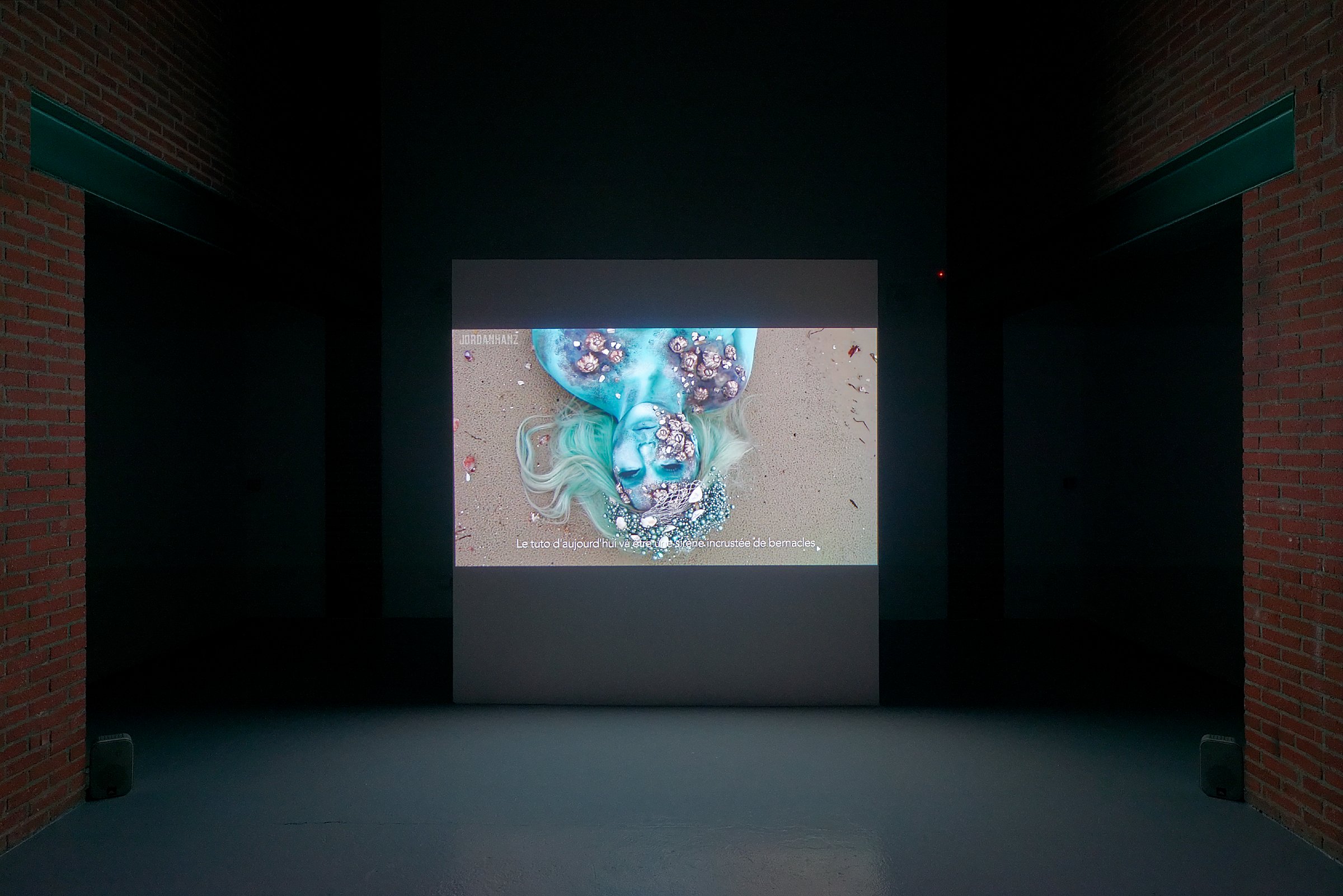 Vue de l'exposition Des Mondes aquatiques #1, Centre international d'art et du paysage de l'île de Vassivière, 2017