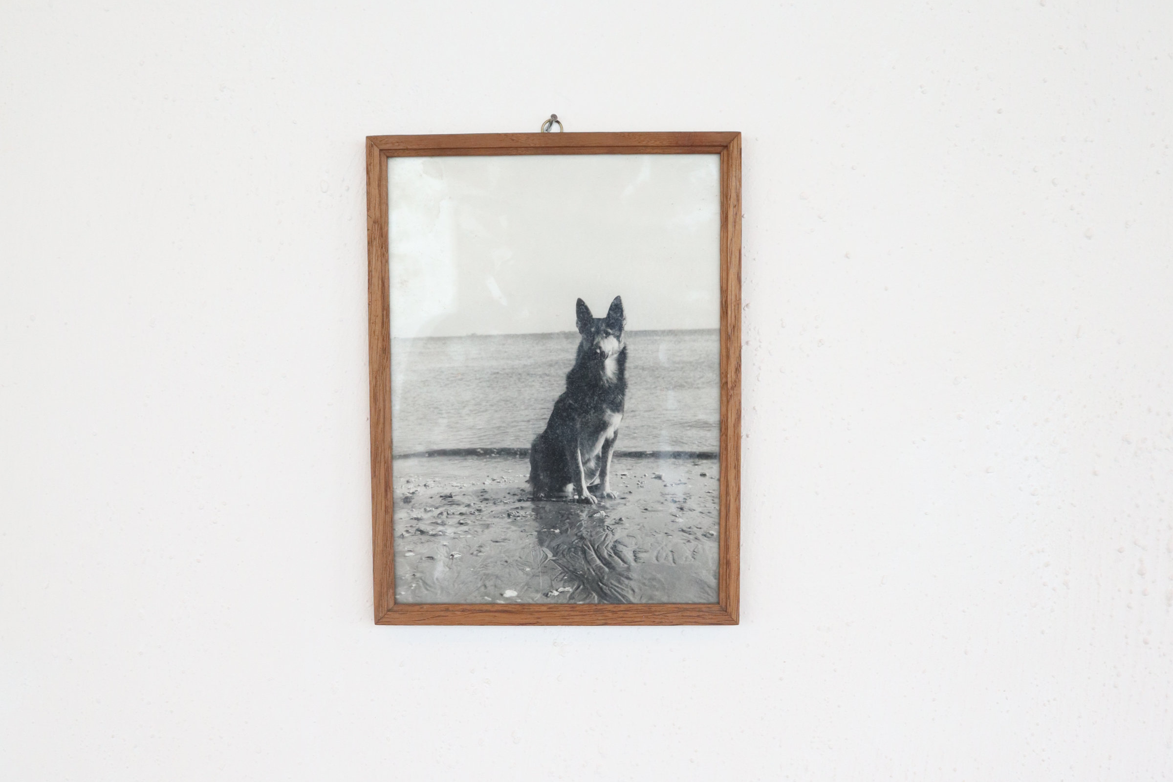 {Sans titre,} 2019