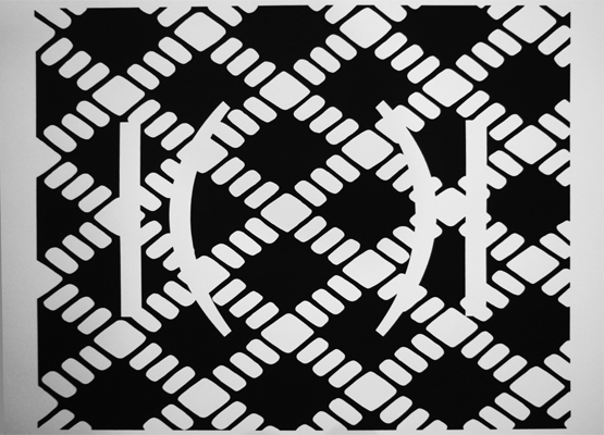 {Sans titre} (collaboration Camila Oliveira Fairclough / Pierre Labat), 2013