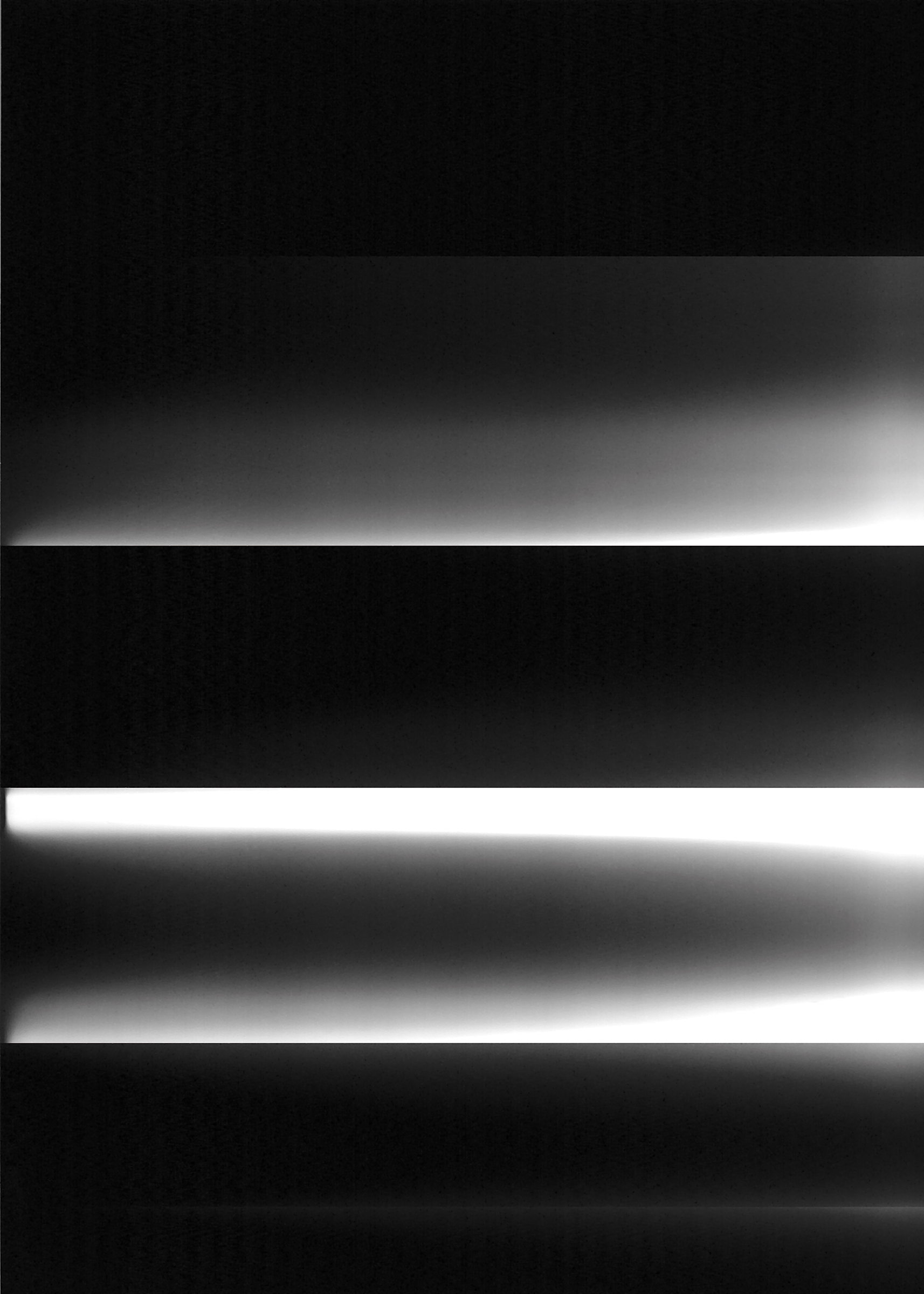 {SC#24}, 2008