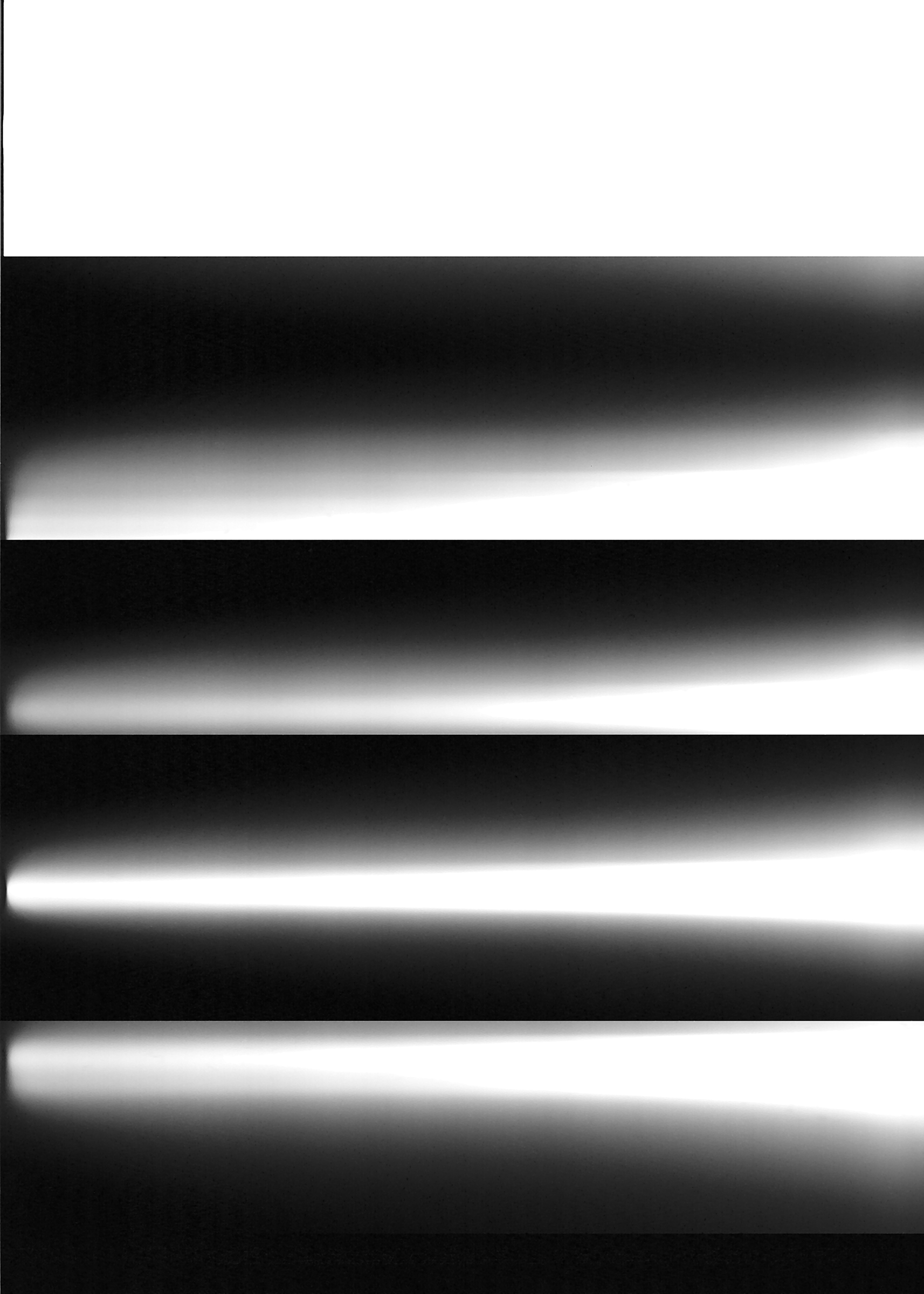 {SC#26}, 2008