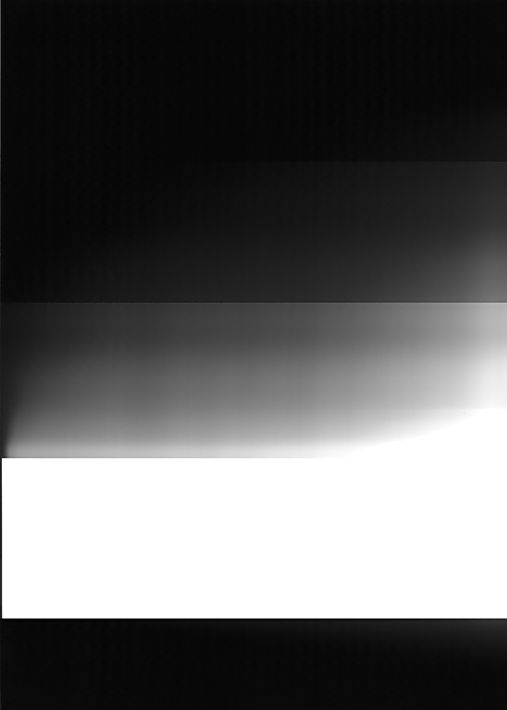 {SC#29}, 2008
