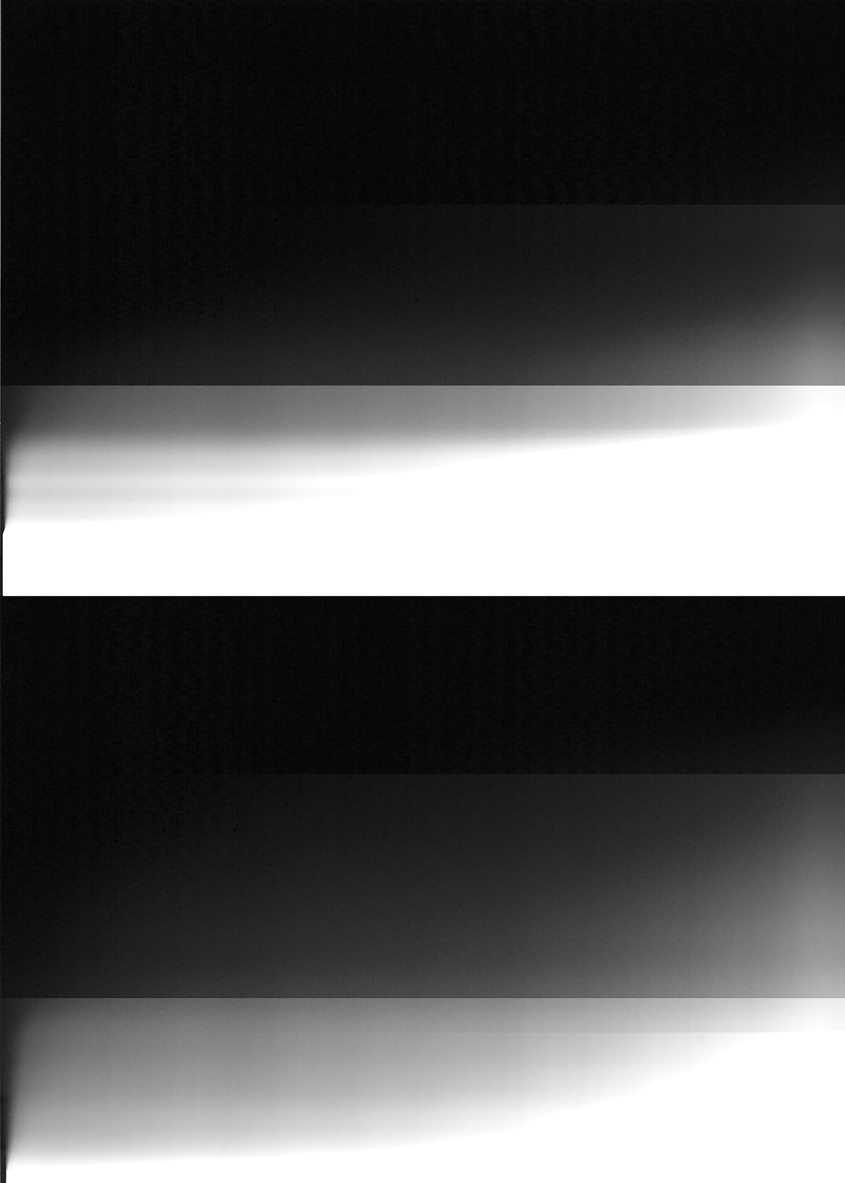 {SC#30}, 2008