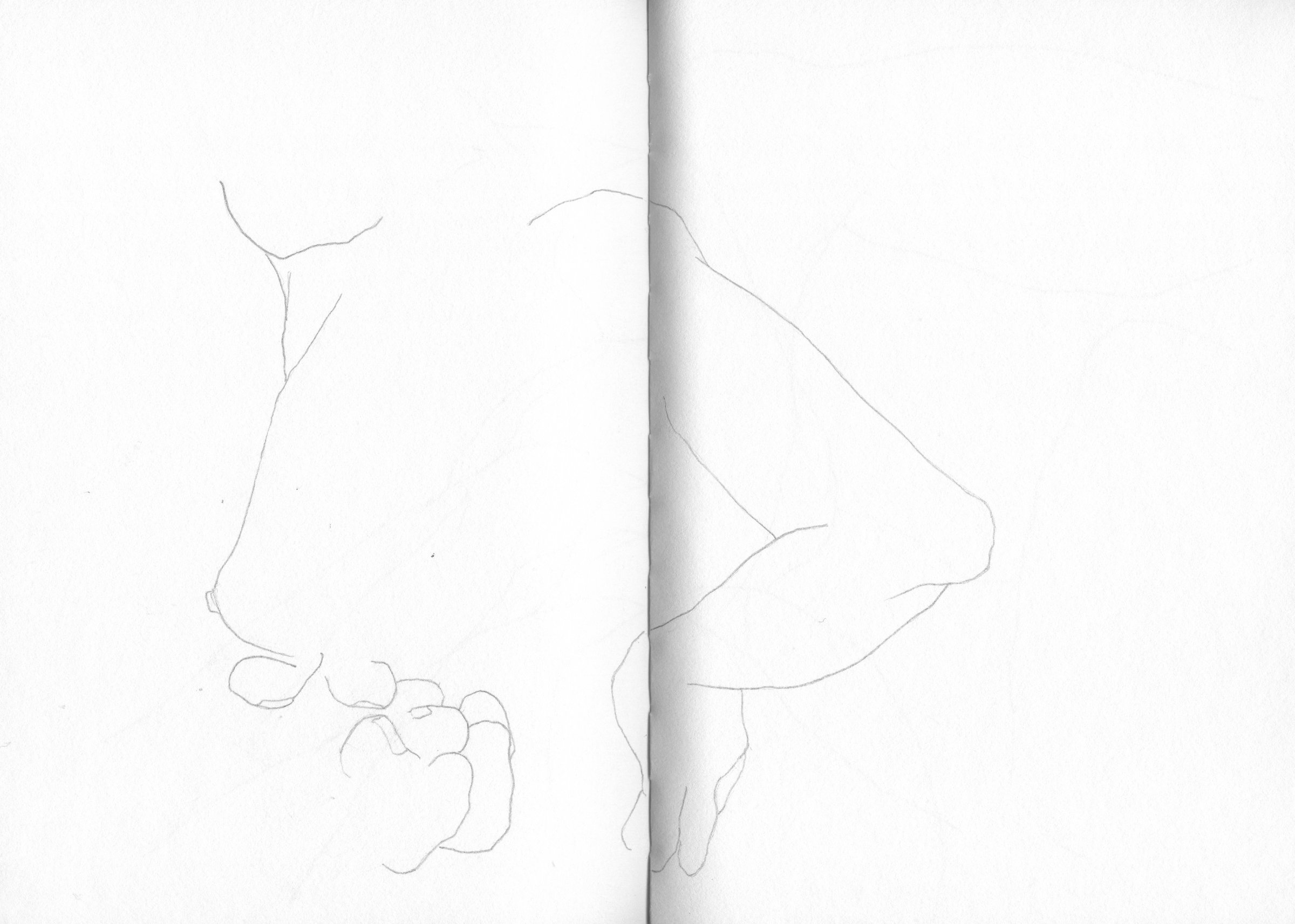 {Autoportraits en cheveux}, 2020