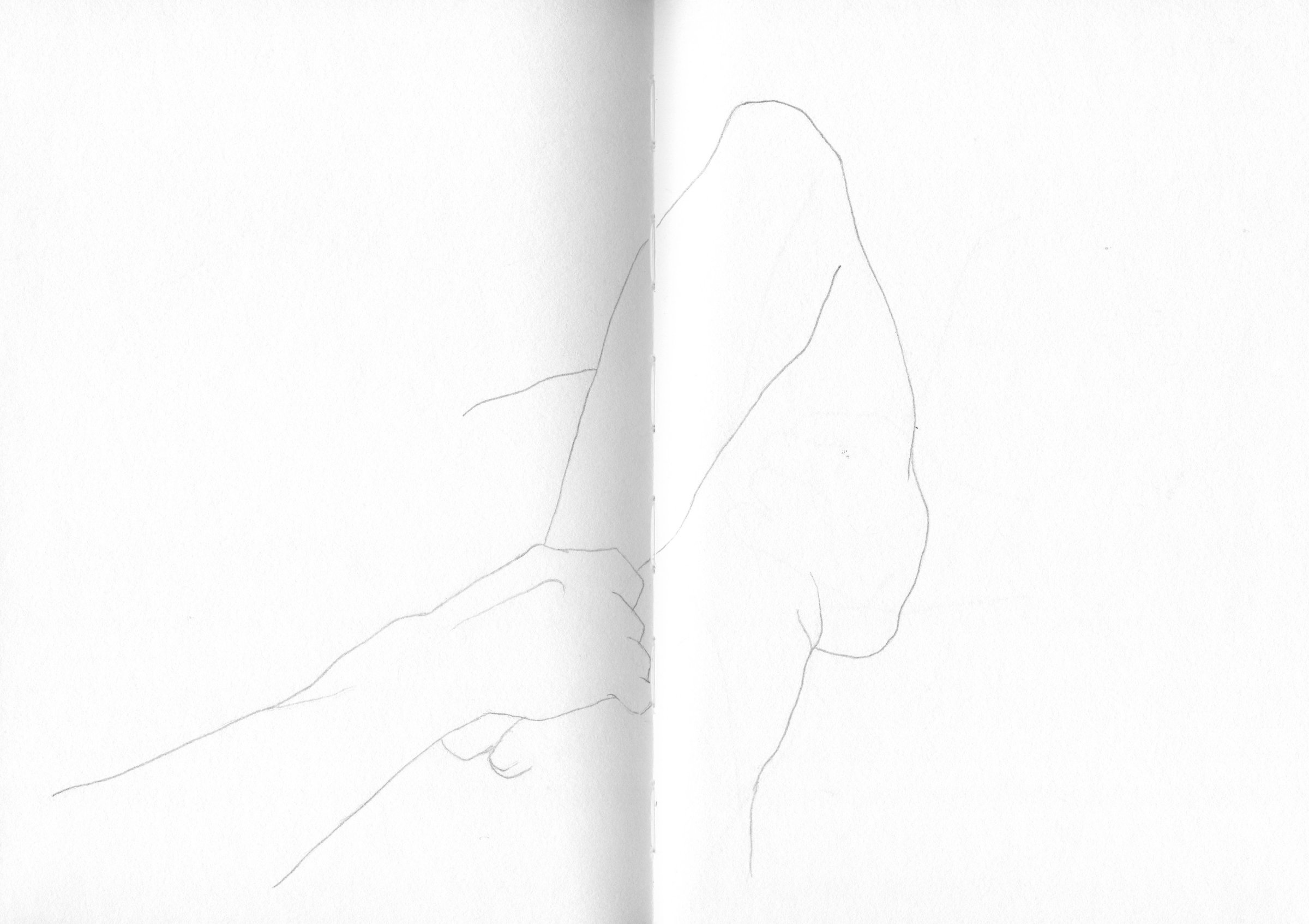 {Autoportraits en cheveux}, 2020