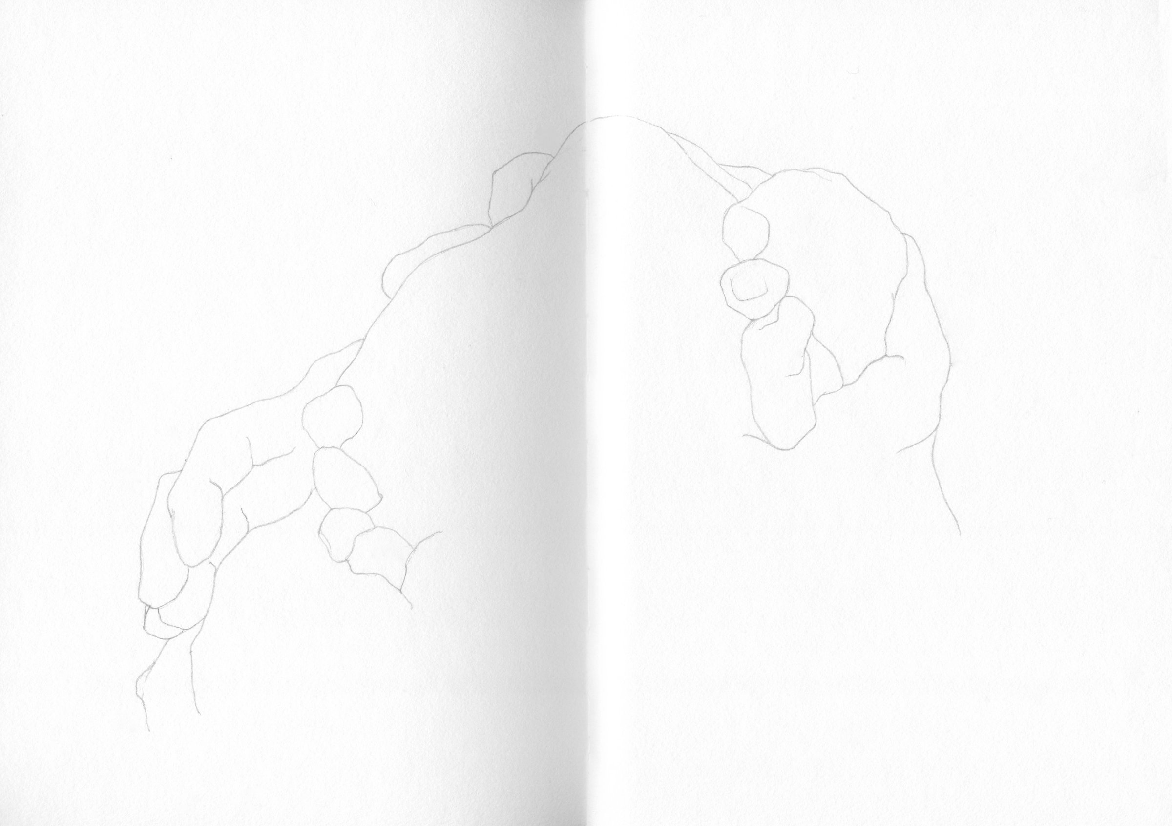 {Autoportraits en cheveux}, 2021