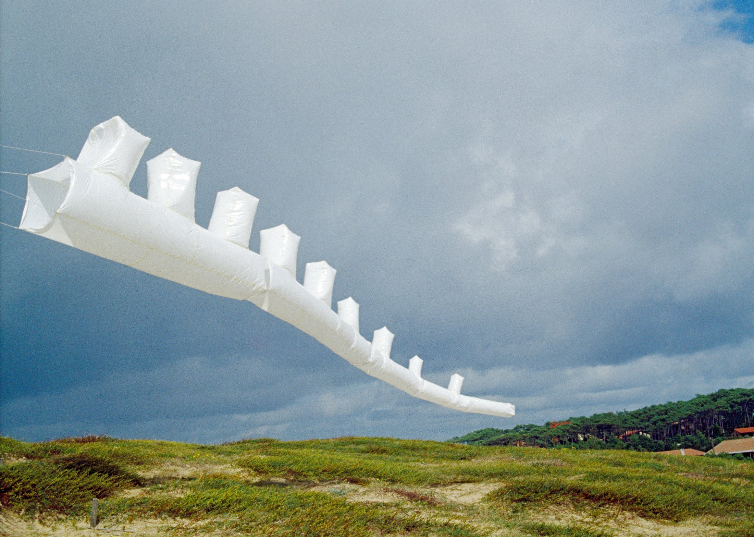 {Forme n°1}, 1992