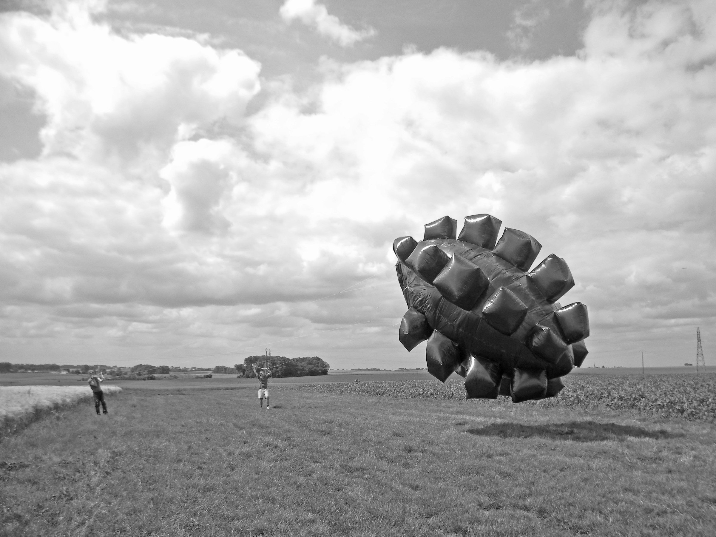 Visuel du carton de l'exposition {Résolution de l'écran}, 2011