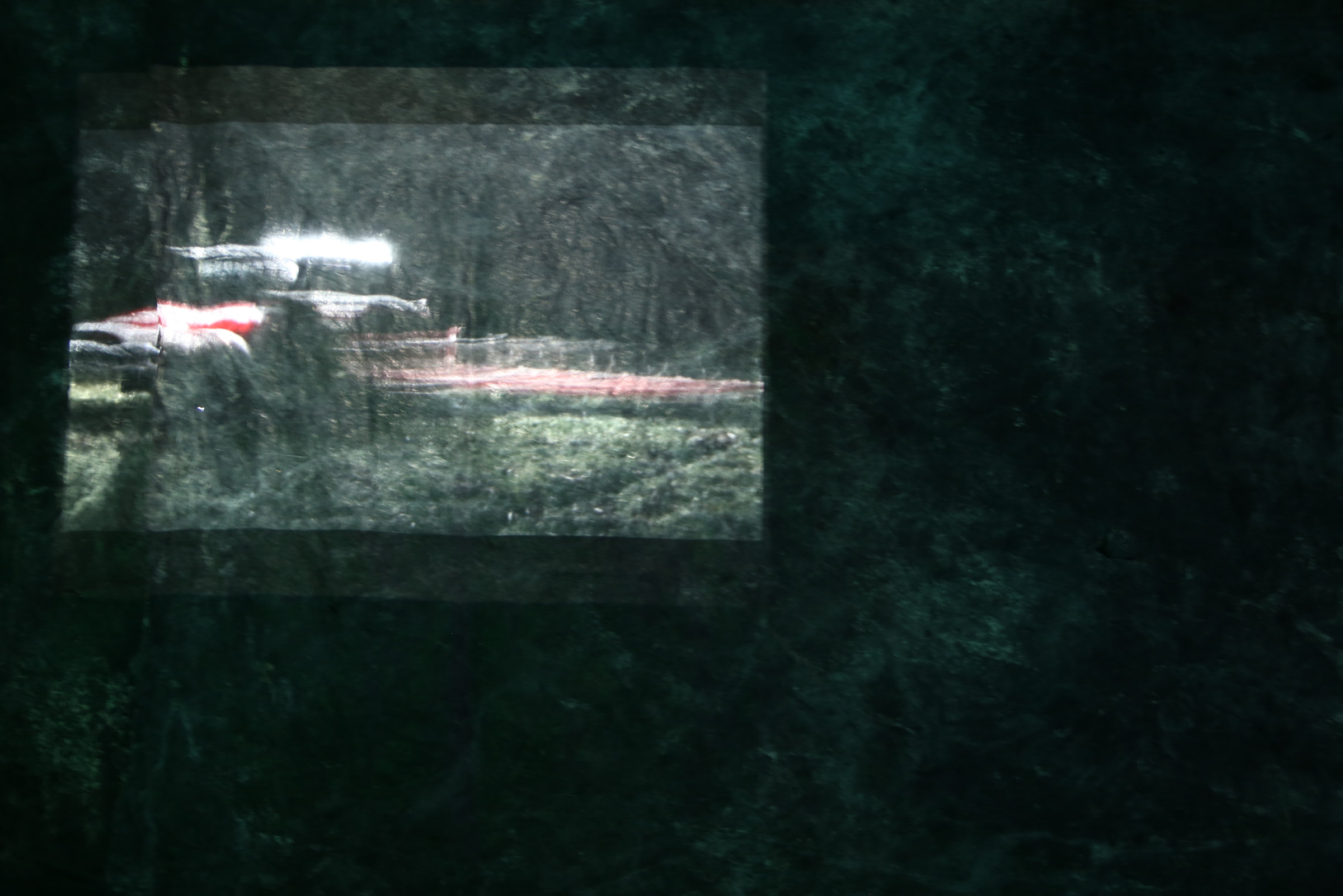 Vue de la projection, Derrière les talus, 2014