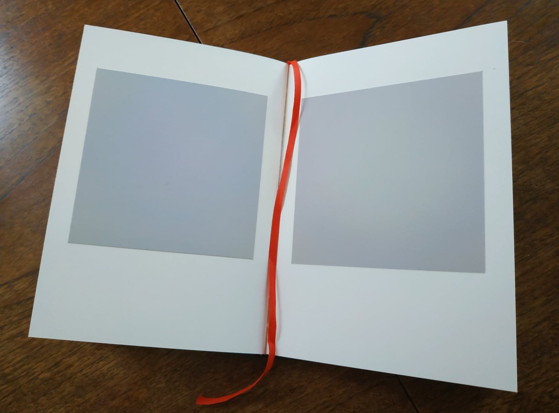 {Diffuses d'hiver}, 2019 (détail)