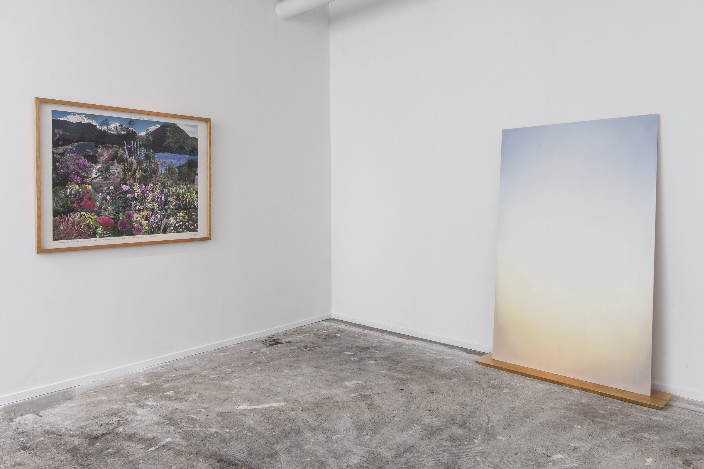 Mur de gauche : Peter Hutchinson, Alpine Iris (Alliterative Landscape Series), 1995