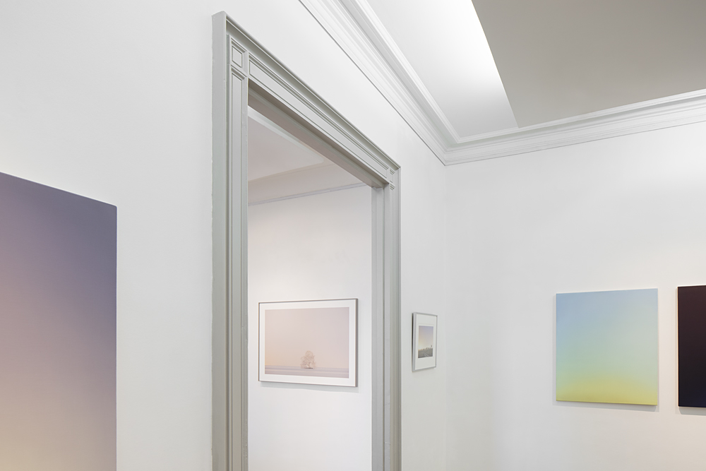 Au centre : œuvres de Yohann Gozard