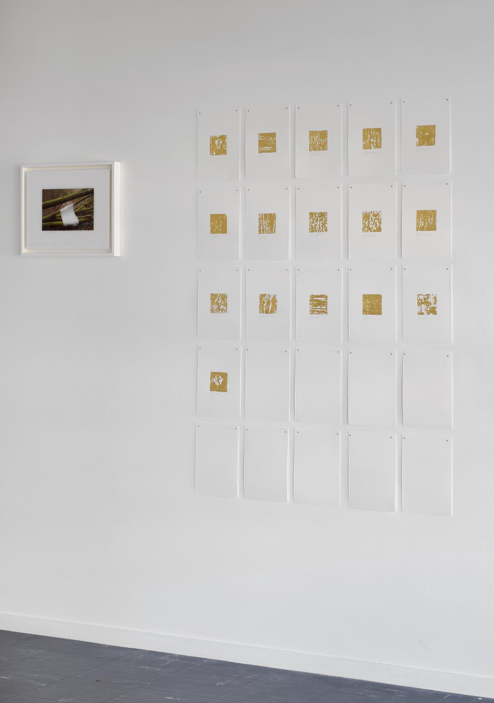 Vue de l'exposition Comment faire corps avec le paysage, en duo avec Dominique Robin, Rassembler / Morceler, Collectif Acte, 2021 À gauche : Titre