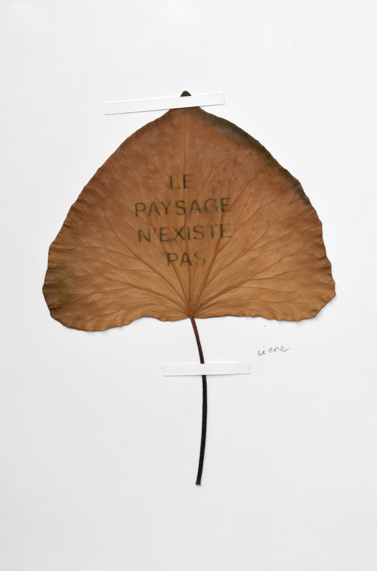 {Le paysage n'existe pas}