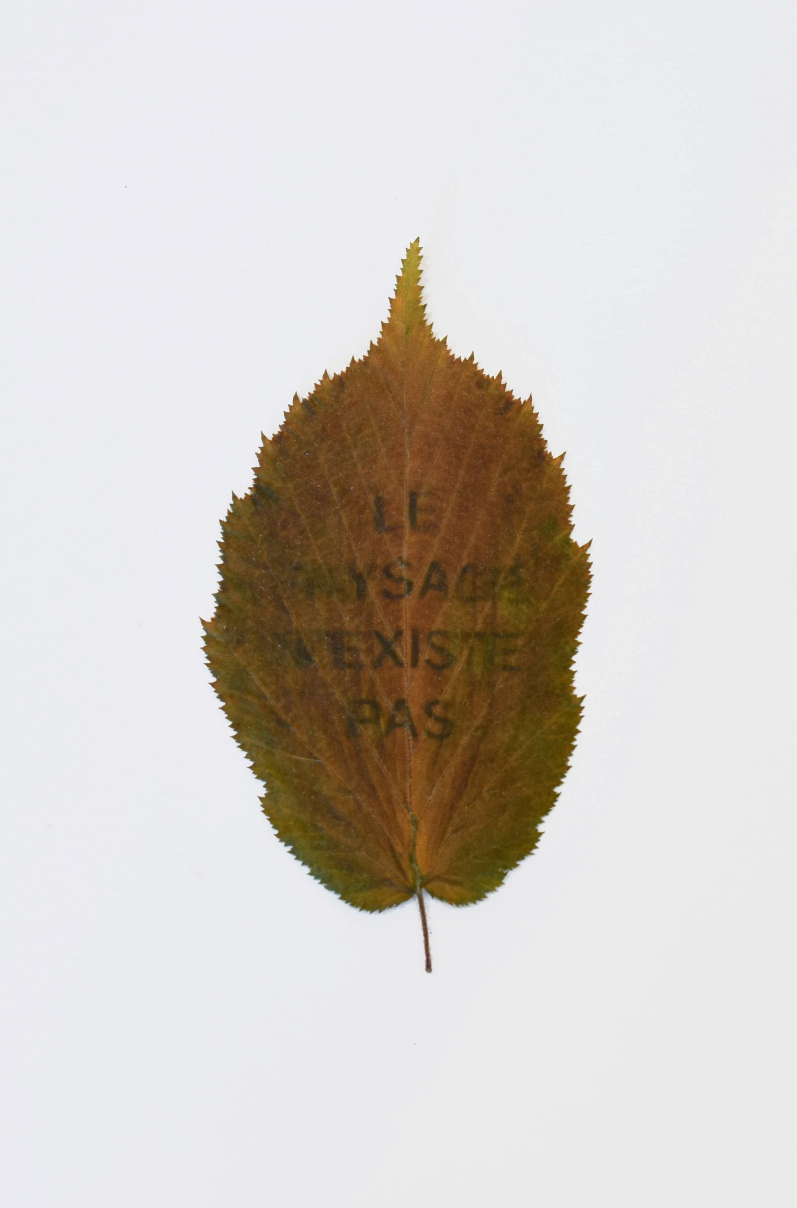 {Le paysage n'existe pas}