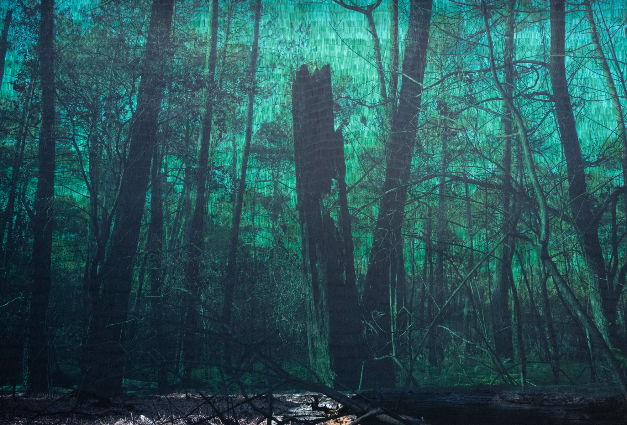 100 x 140 cm