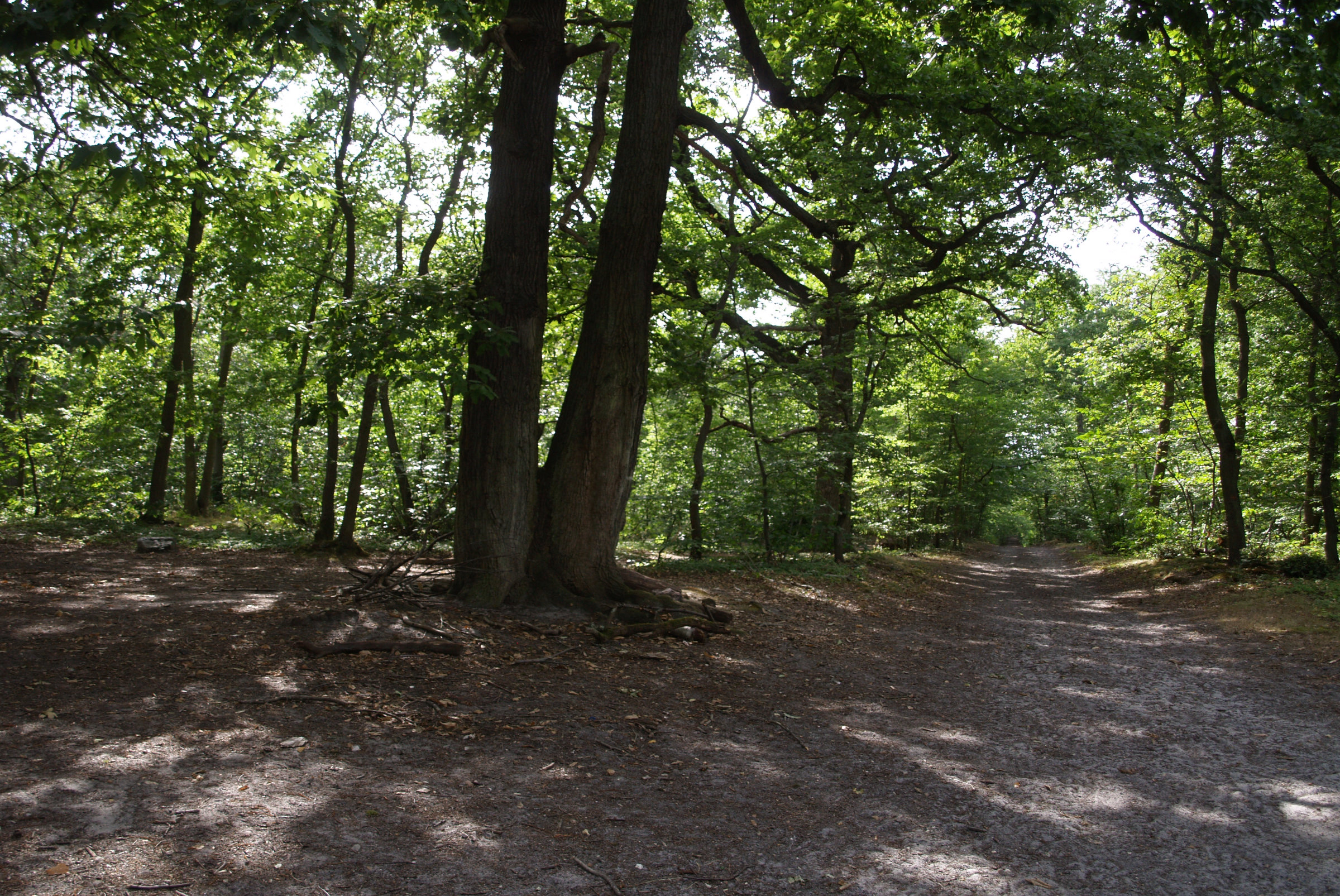 {360° en 40 étapes (40/40)}, 2015