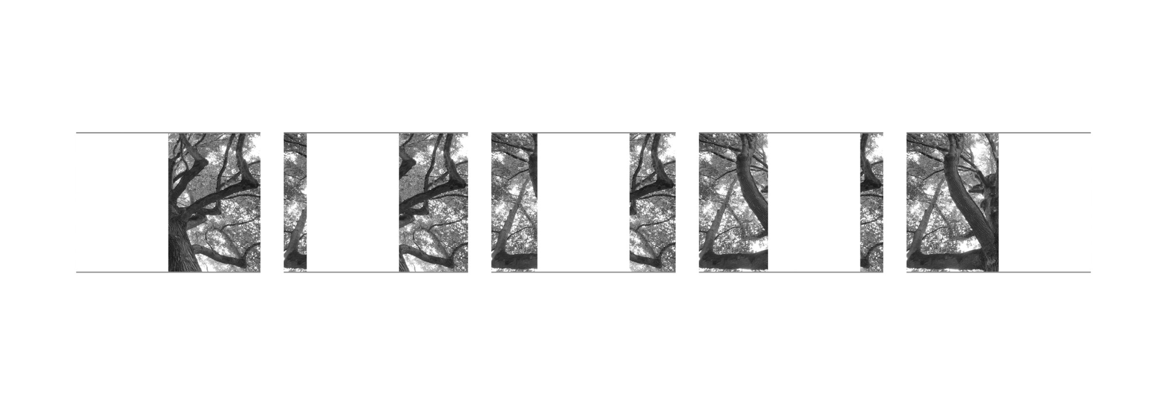 {Suite n°4}, 2021