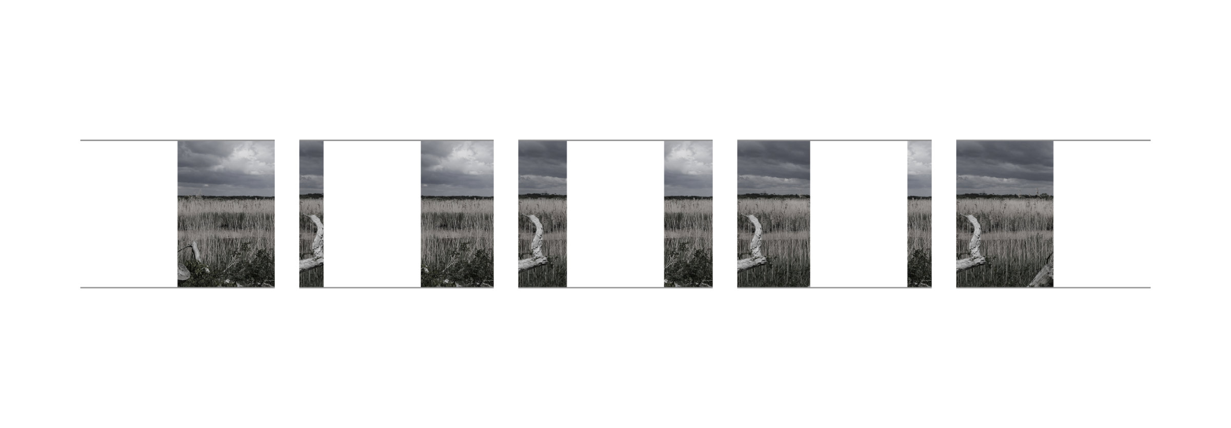{Suite n°8}, 2022