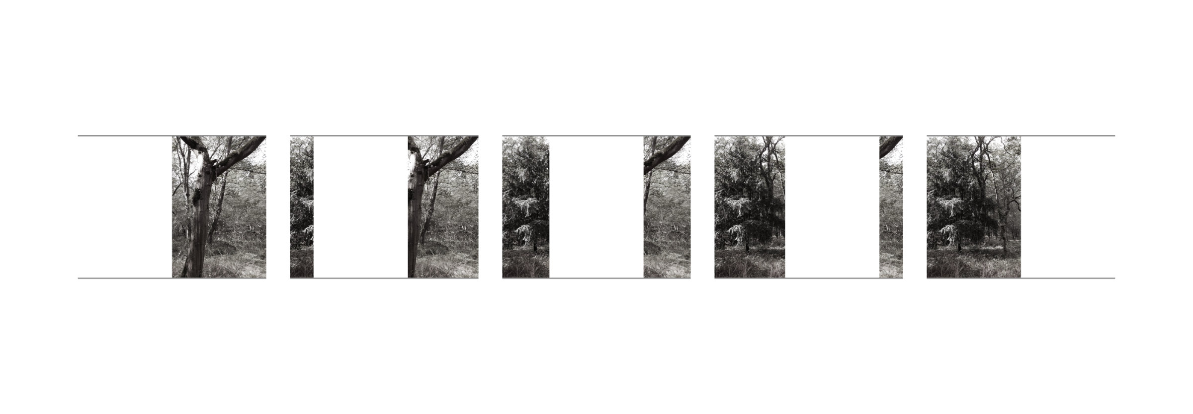 {Suite n°10}, 2022