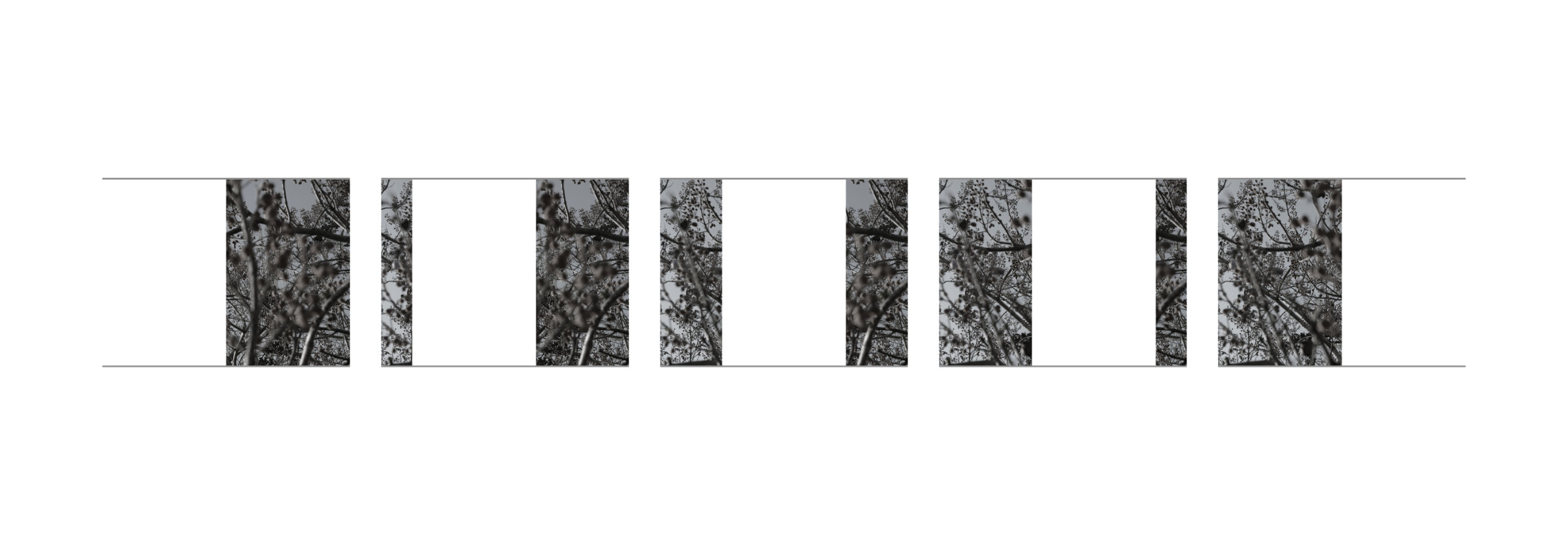 {Suite n°11}, 2022