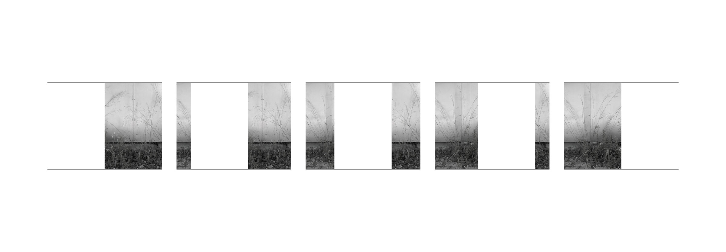 {Suite n°14}, 2022