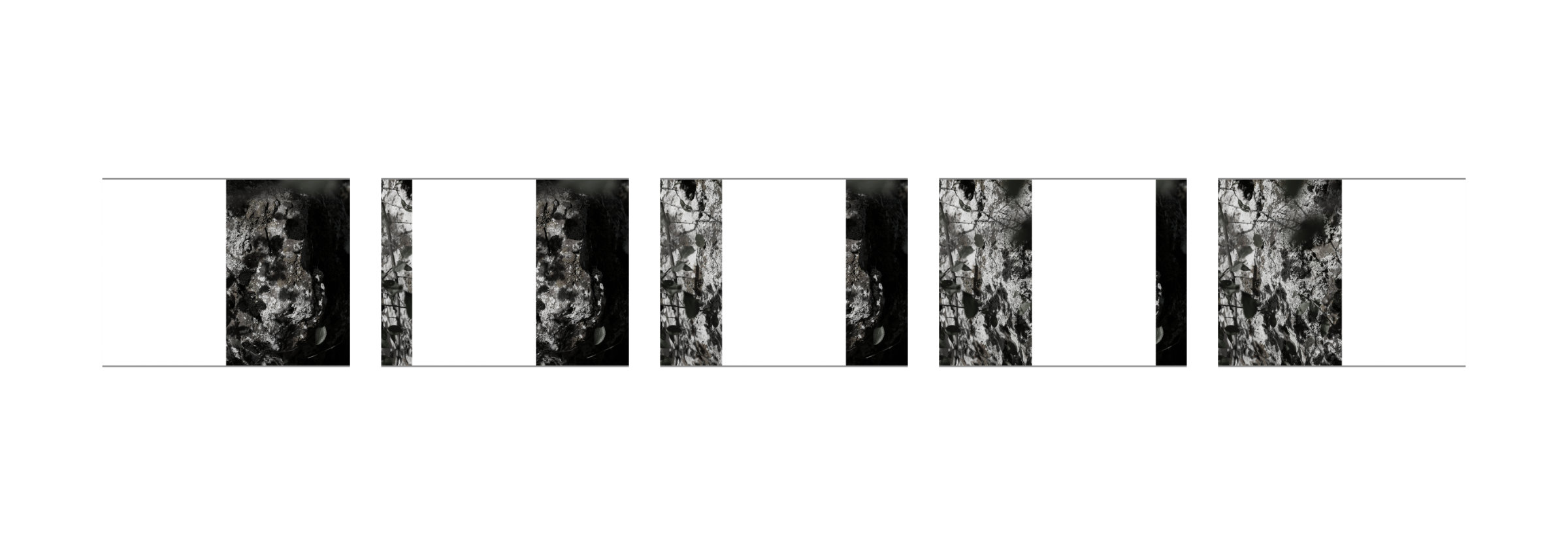 {Suite n°15}, 2022