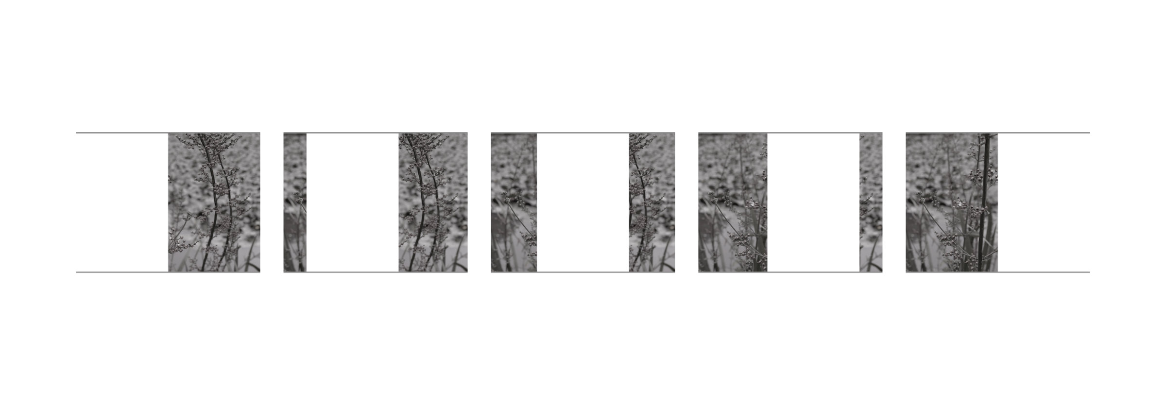 {Suite n°17}, 2022