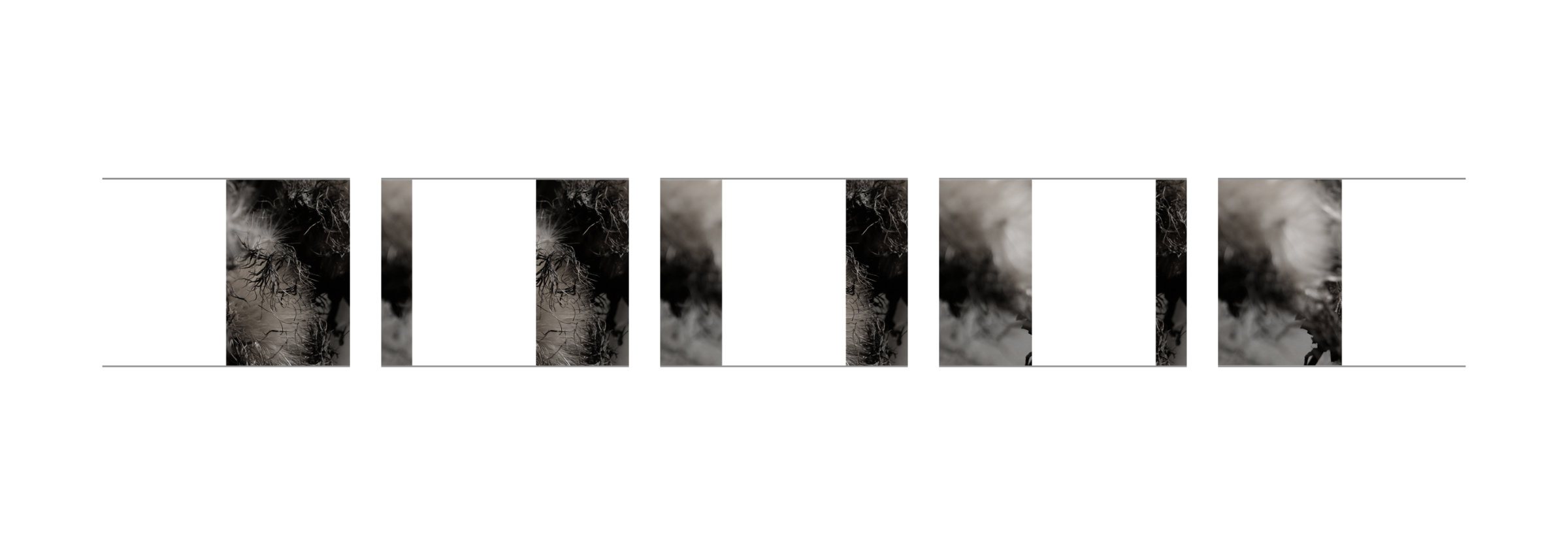 {Suite n°20}, 2022