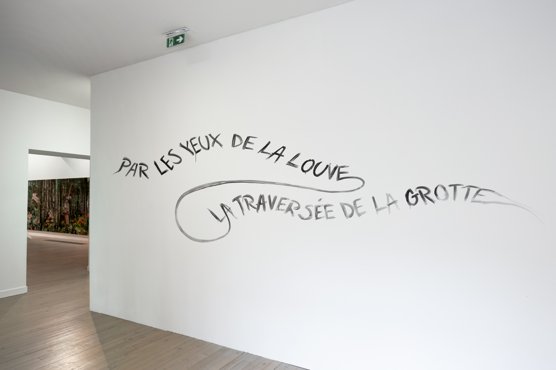 Entrée de l'exposition {Par les yeux de la louve, la traversée de la grotte}