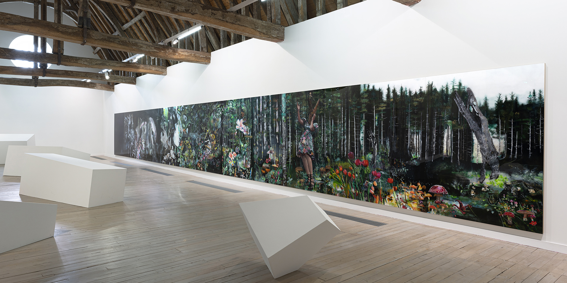 Vue de l'exposition (1re salle) {Par les yeux de la louve, la traversée de la grotte}