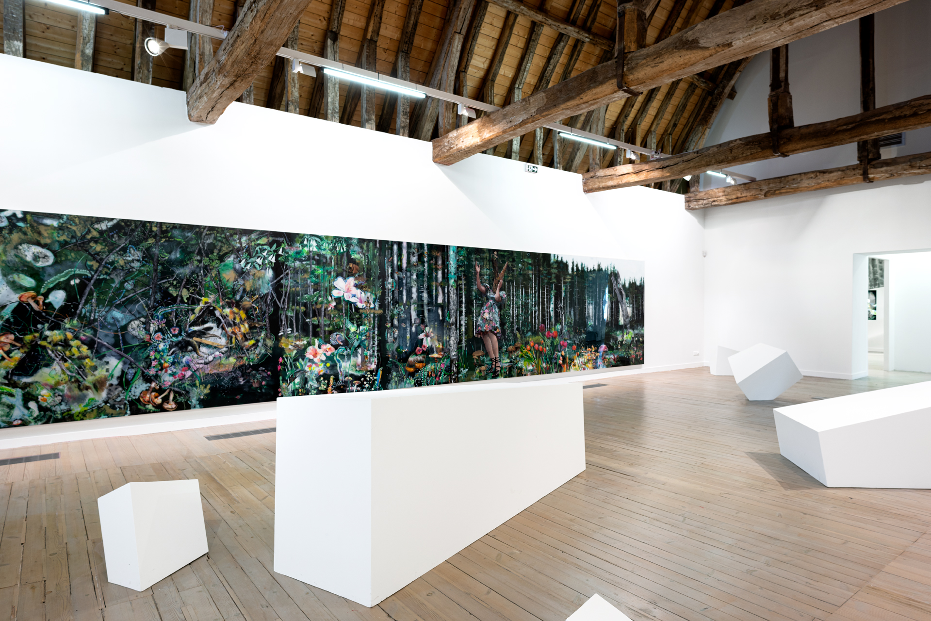 Vue de l'exposition (1re salle) {Par les yeux de la louve, la traversée de la grotte}