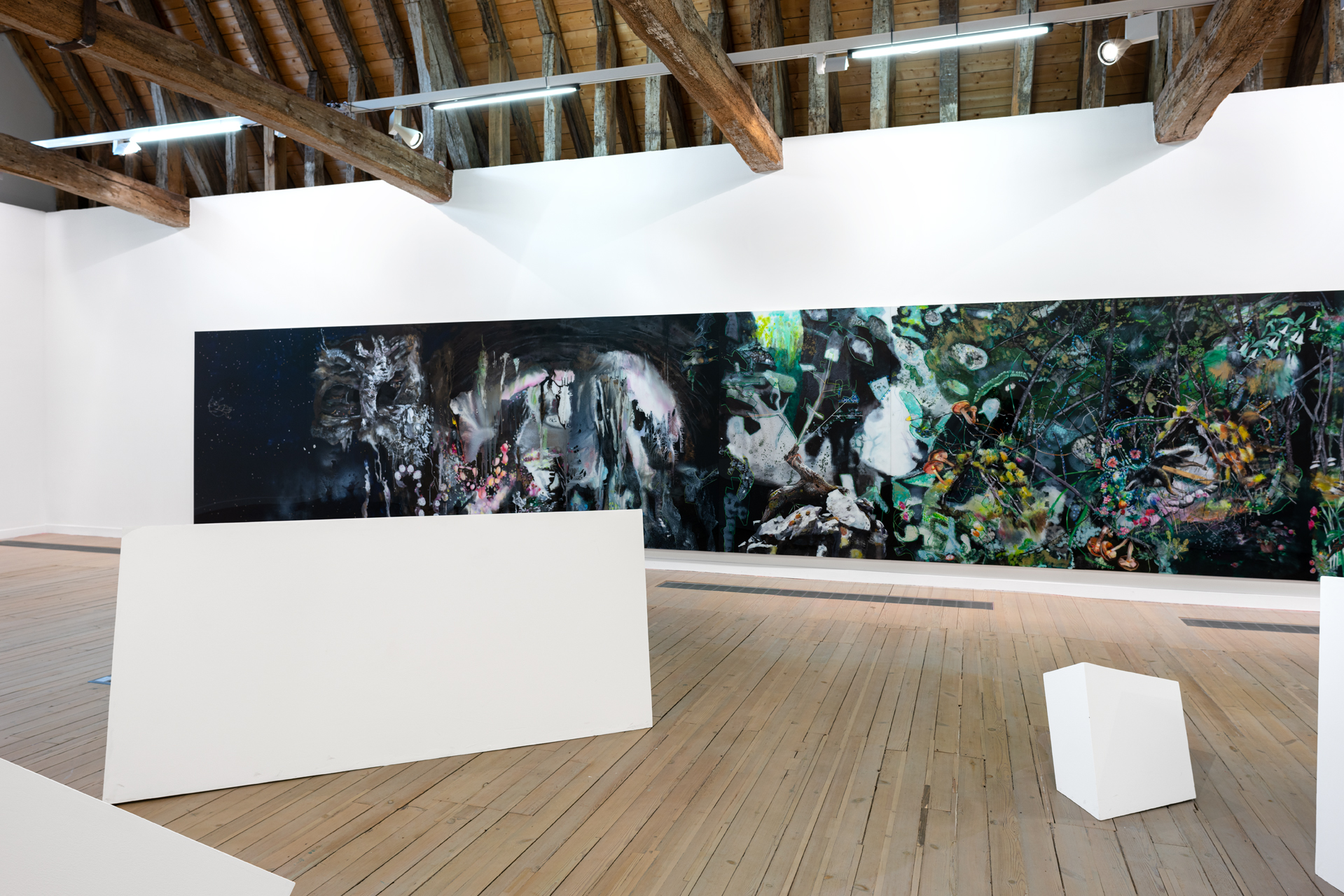 Vue de l'exposition (1re salle) {Par les yeux de la louve, la traversée de la grotte}