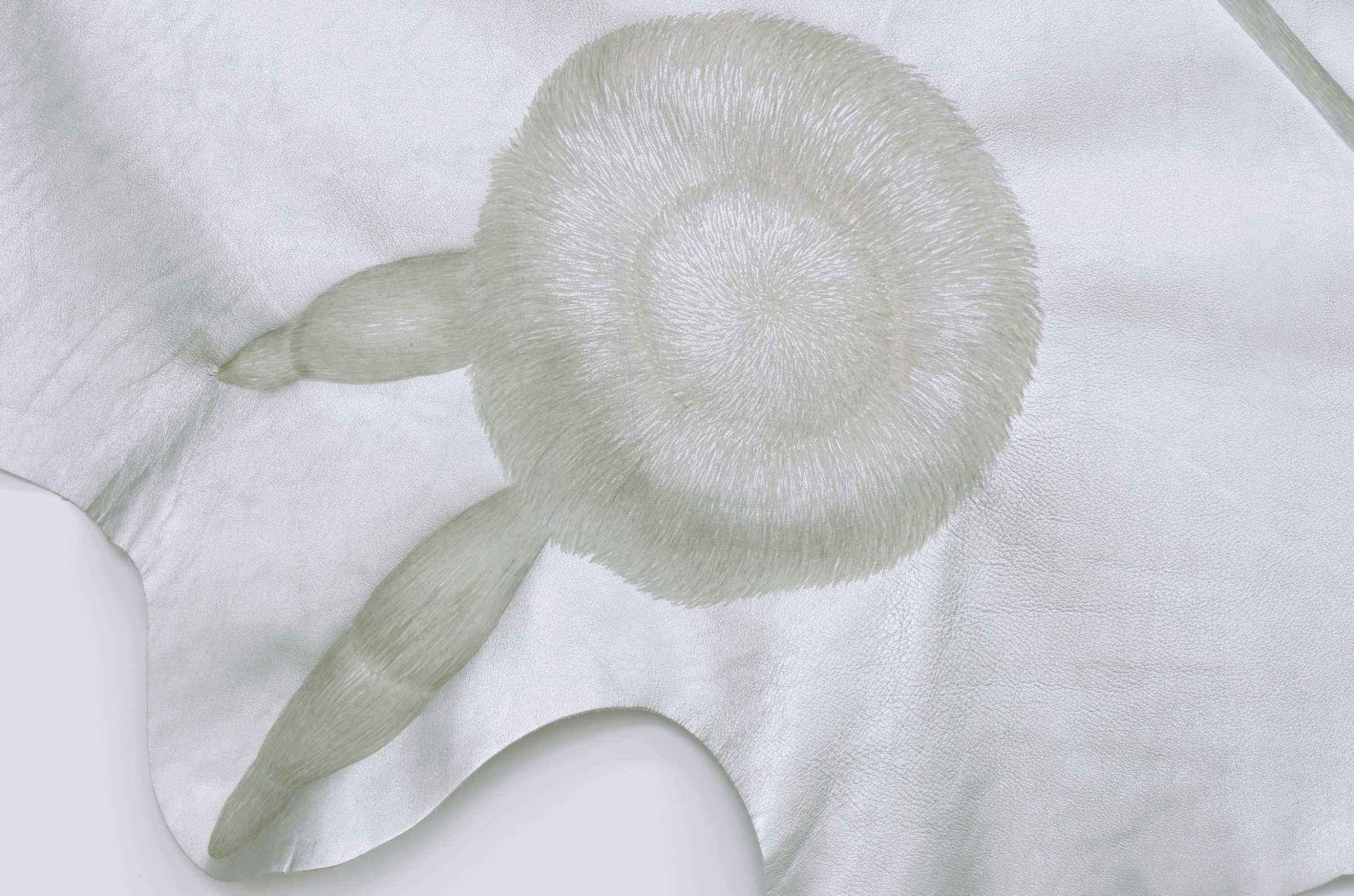 {Marche Franco-Lunaire,} 2015