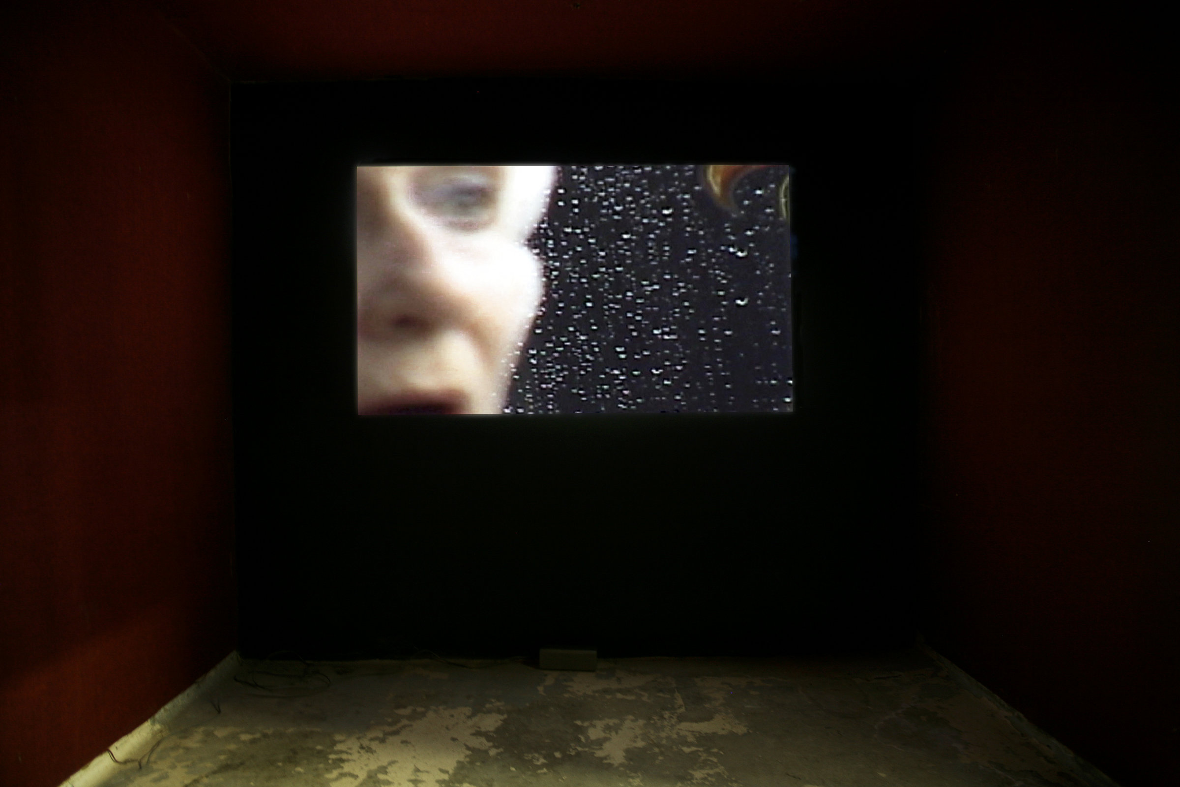 {{ {La dame de Compiègne}, 2001 }}