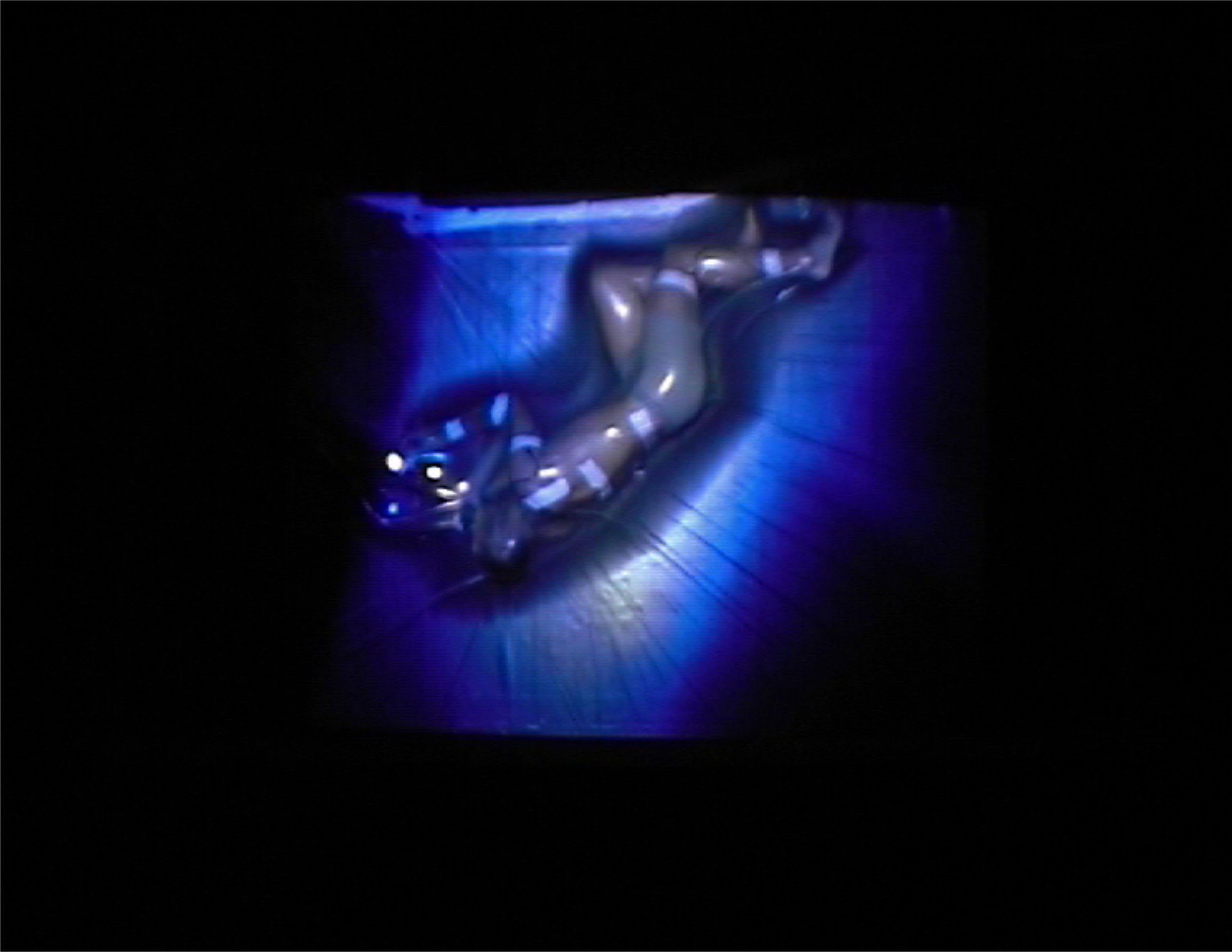 {{ {SOUS-VIDE}, 2006 }}