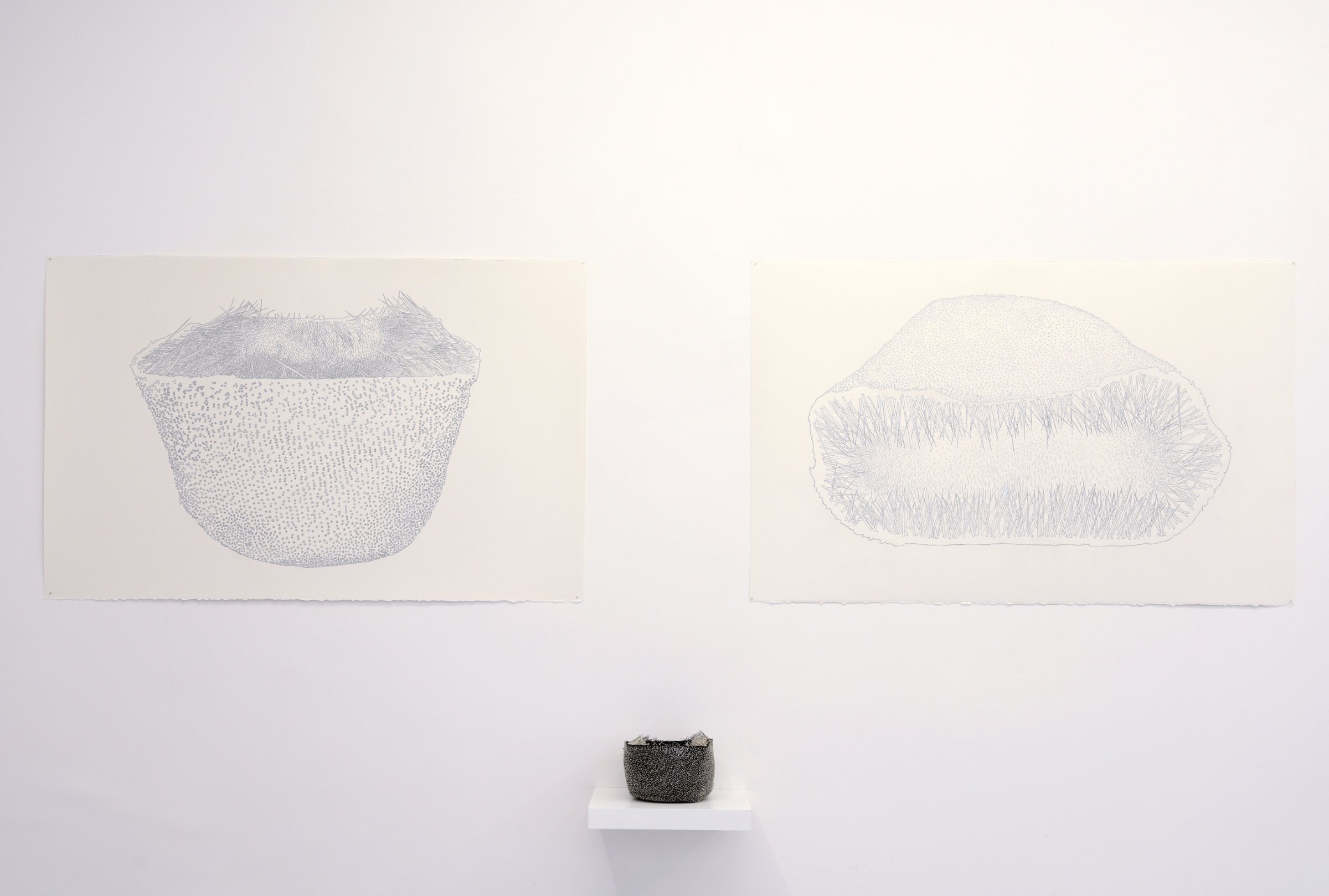 {Coiffes épinglées}, 2018