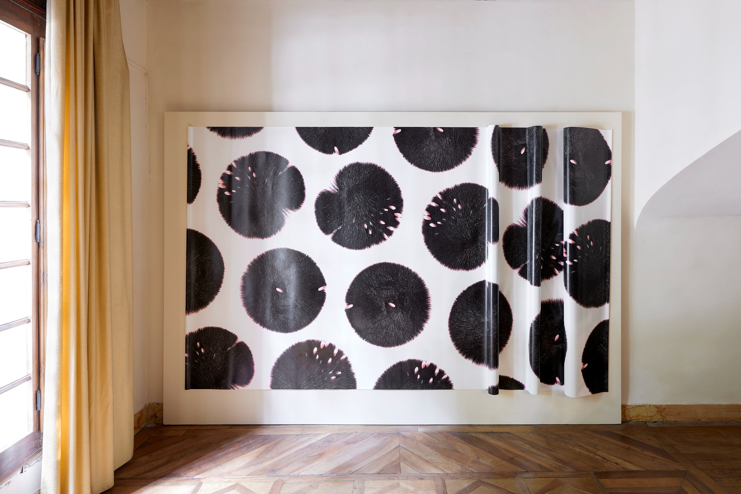 {Houppes}, 2006